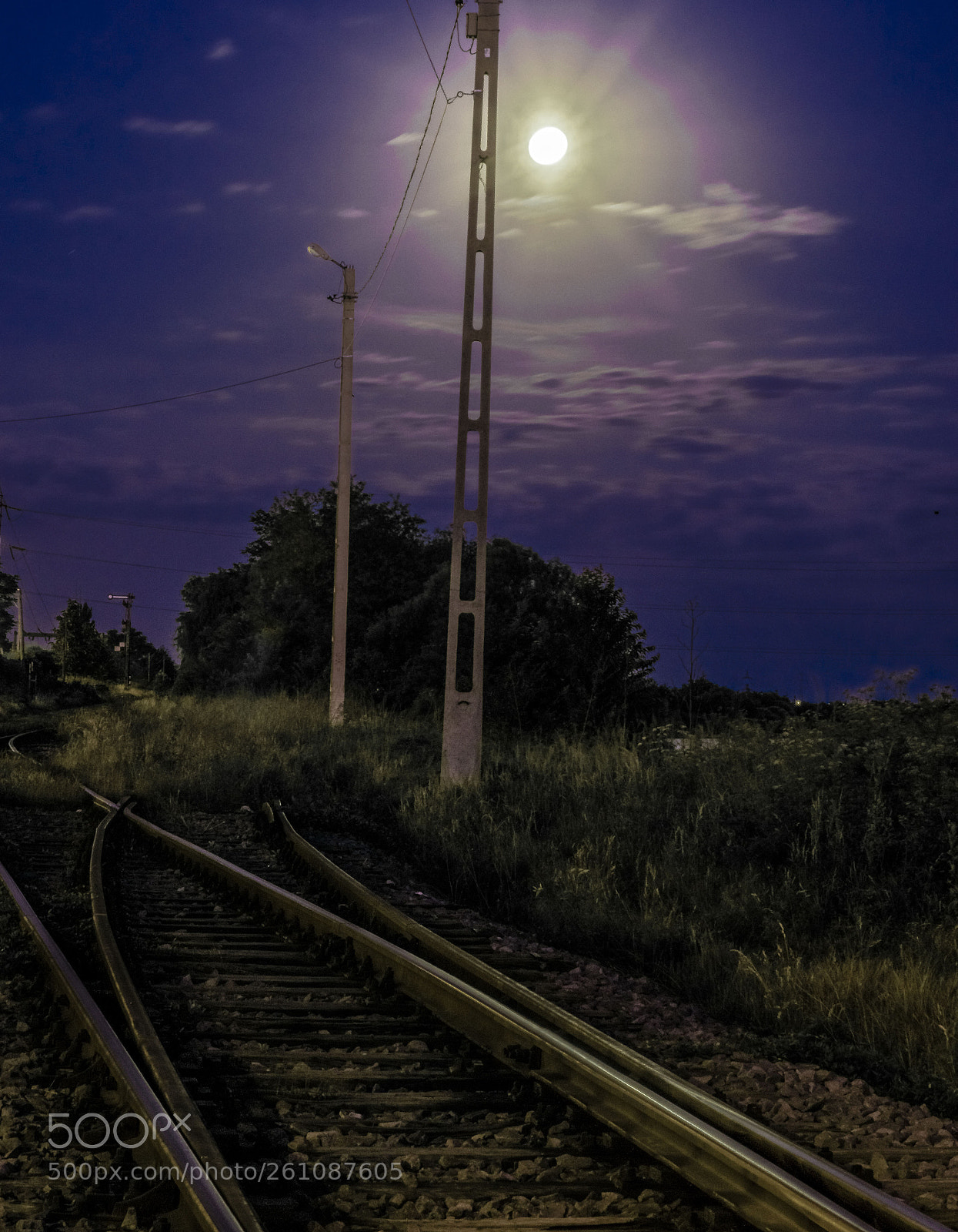 Nikon D5300 sample photo. Untitled photography