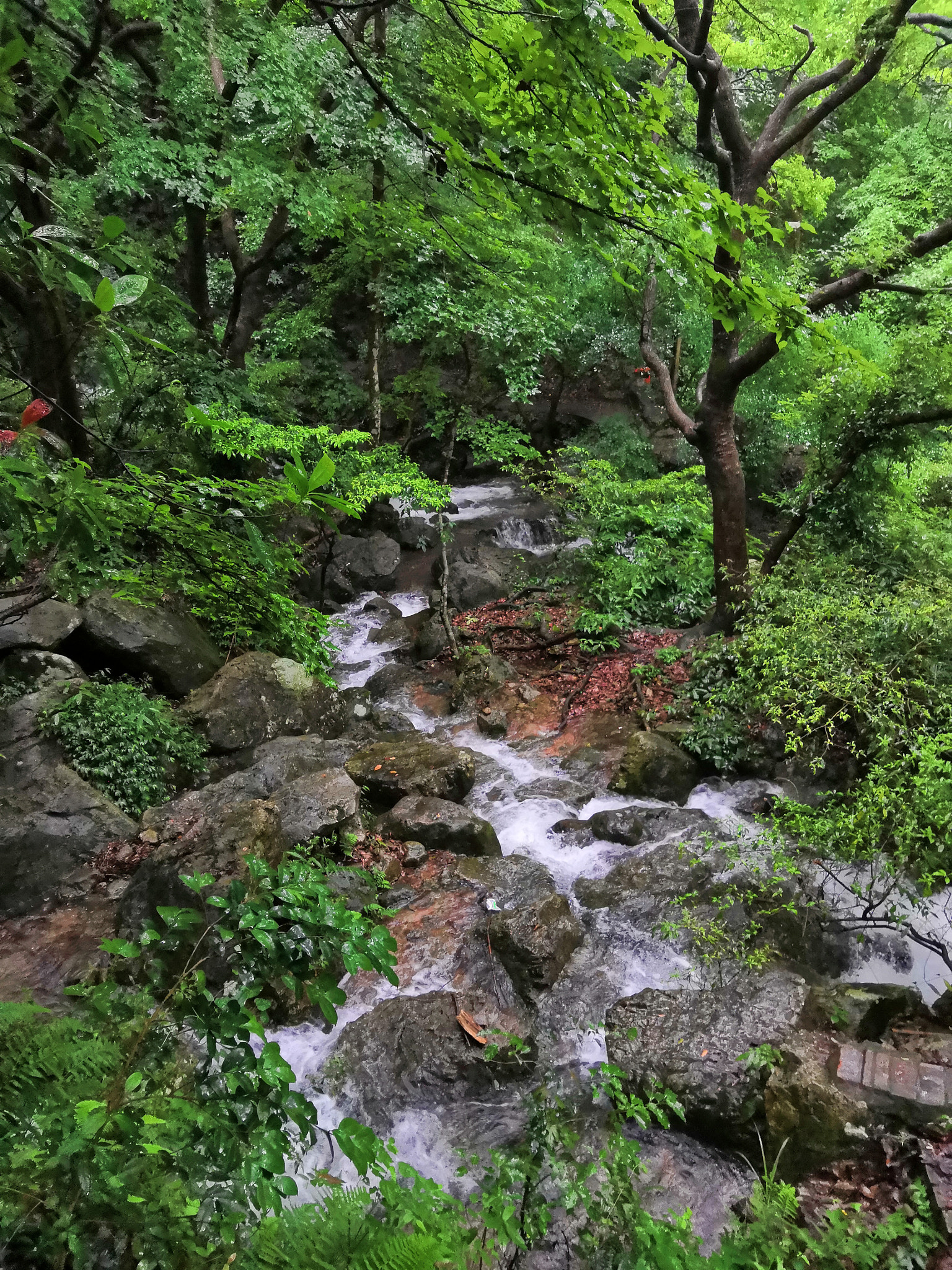 HUAWEI Honor 10 sample photo. Stream，2 photography