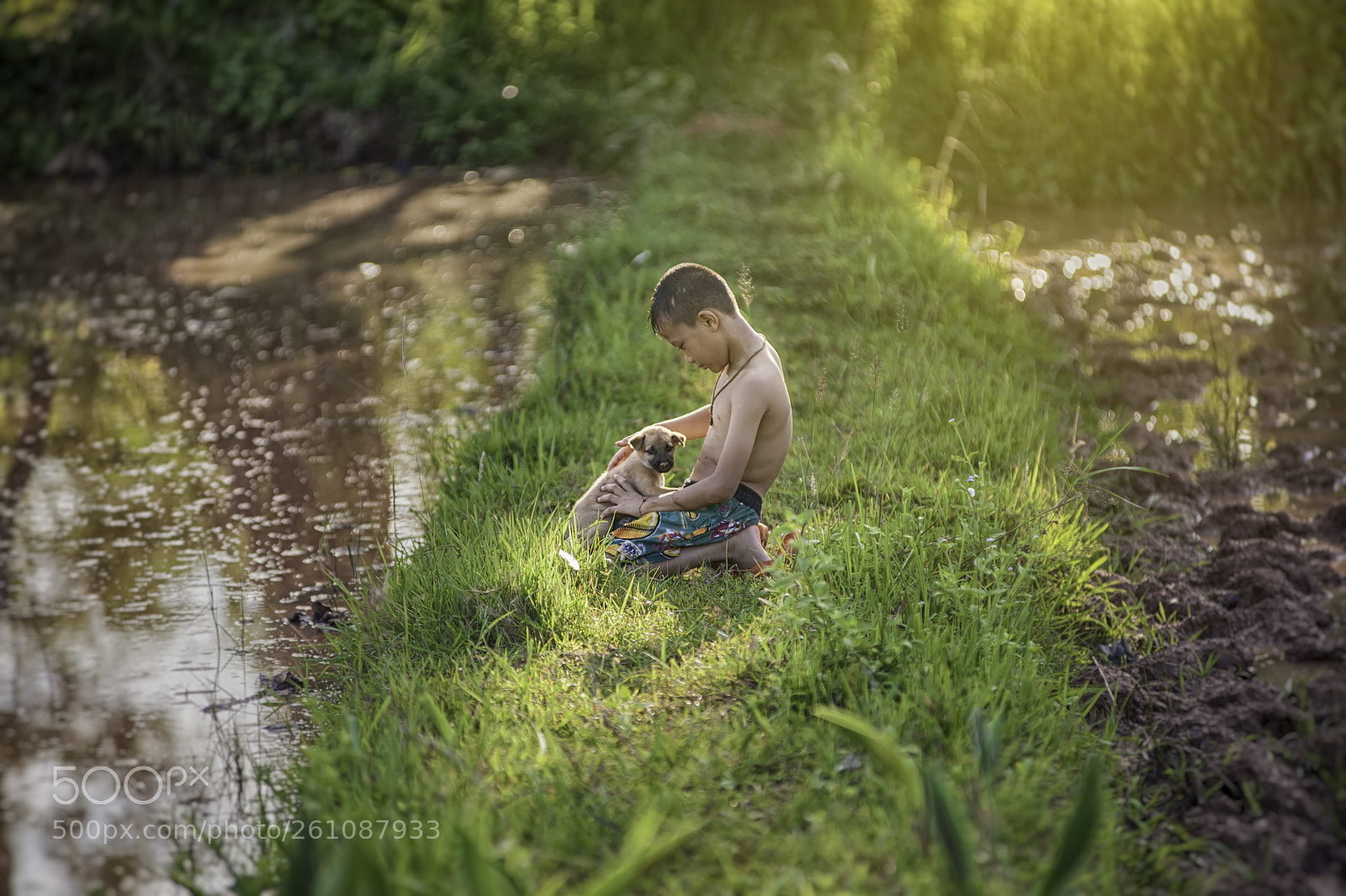 Nikon D700 sample photo. Boy and dog photography
