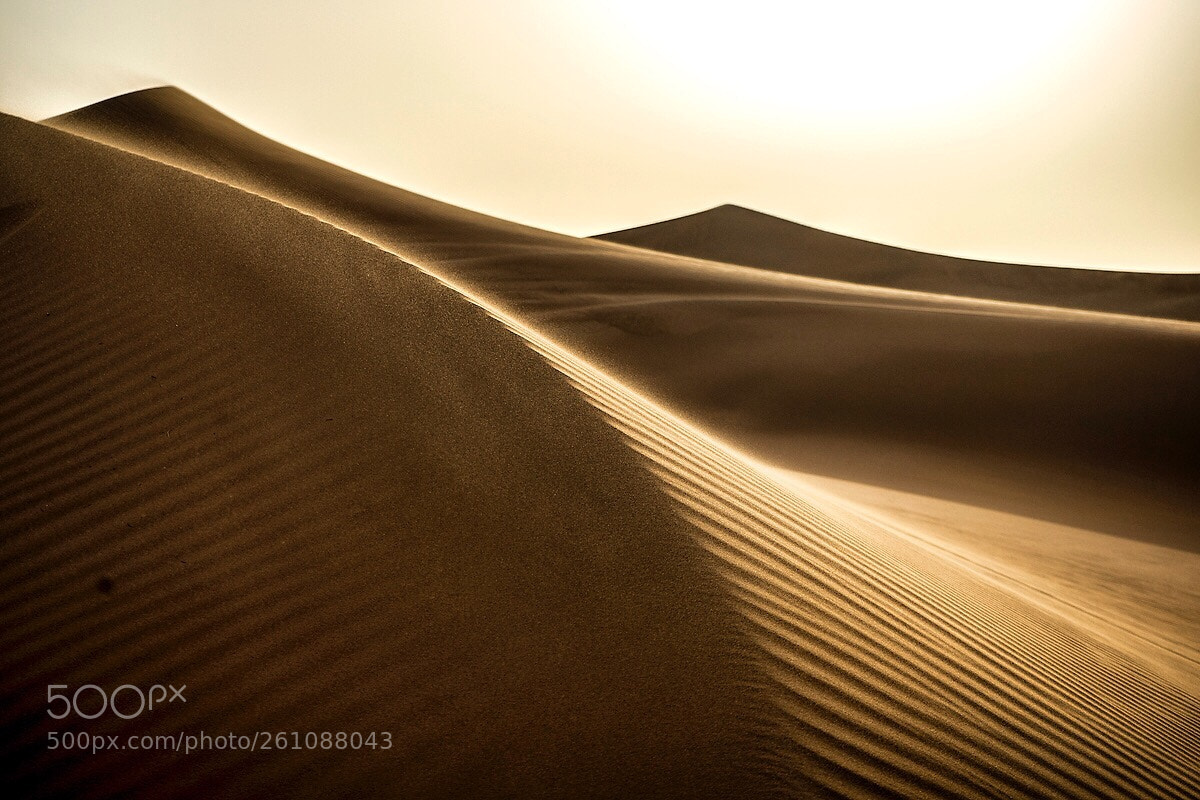 Sony a7 II sample photo. Dubai sand dunes photography
