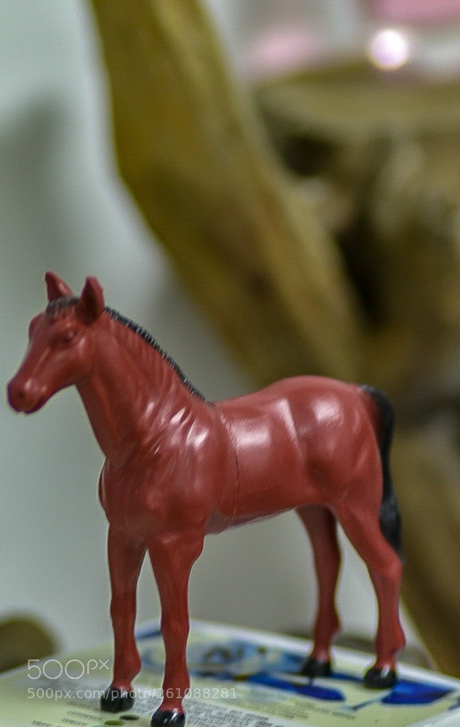 Nikon D3400 sample photo. Untitled photography