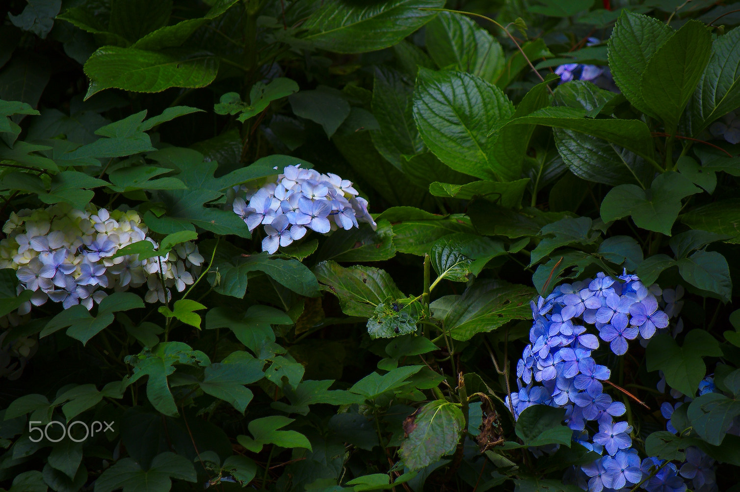 Nikon D3200 sample photo. Dsc photography