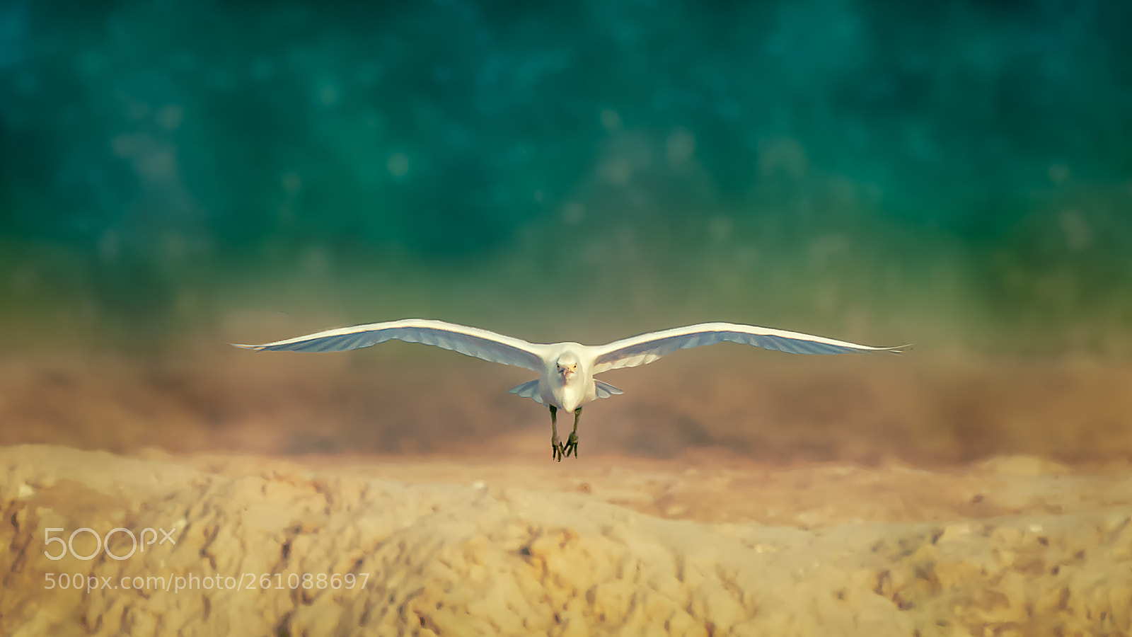 Nikon D7200 sample photo. Dust wave photography