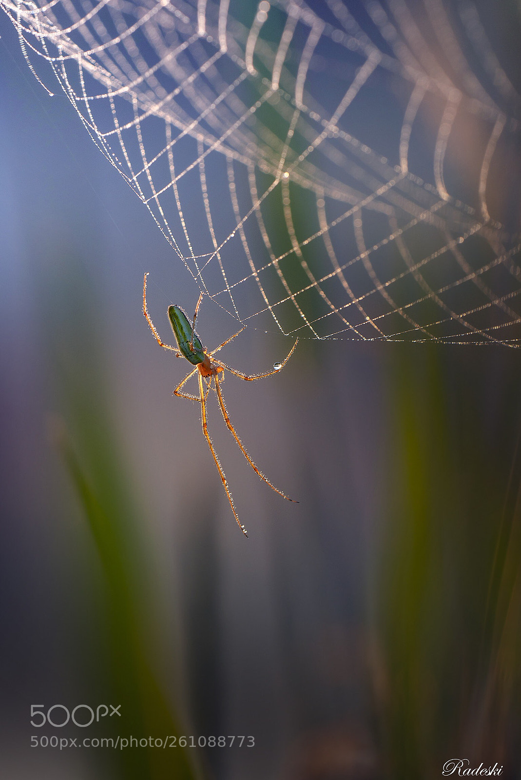 Nikon D800E sample photo. Maintenance in progress photography