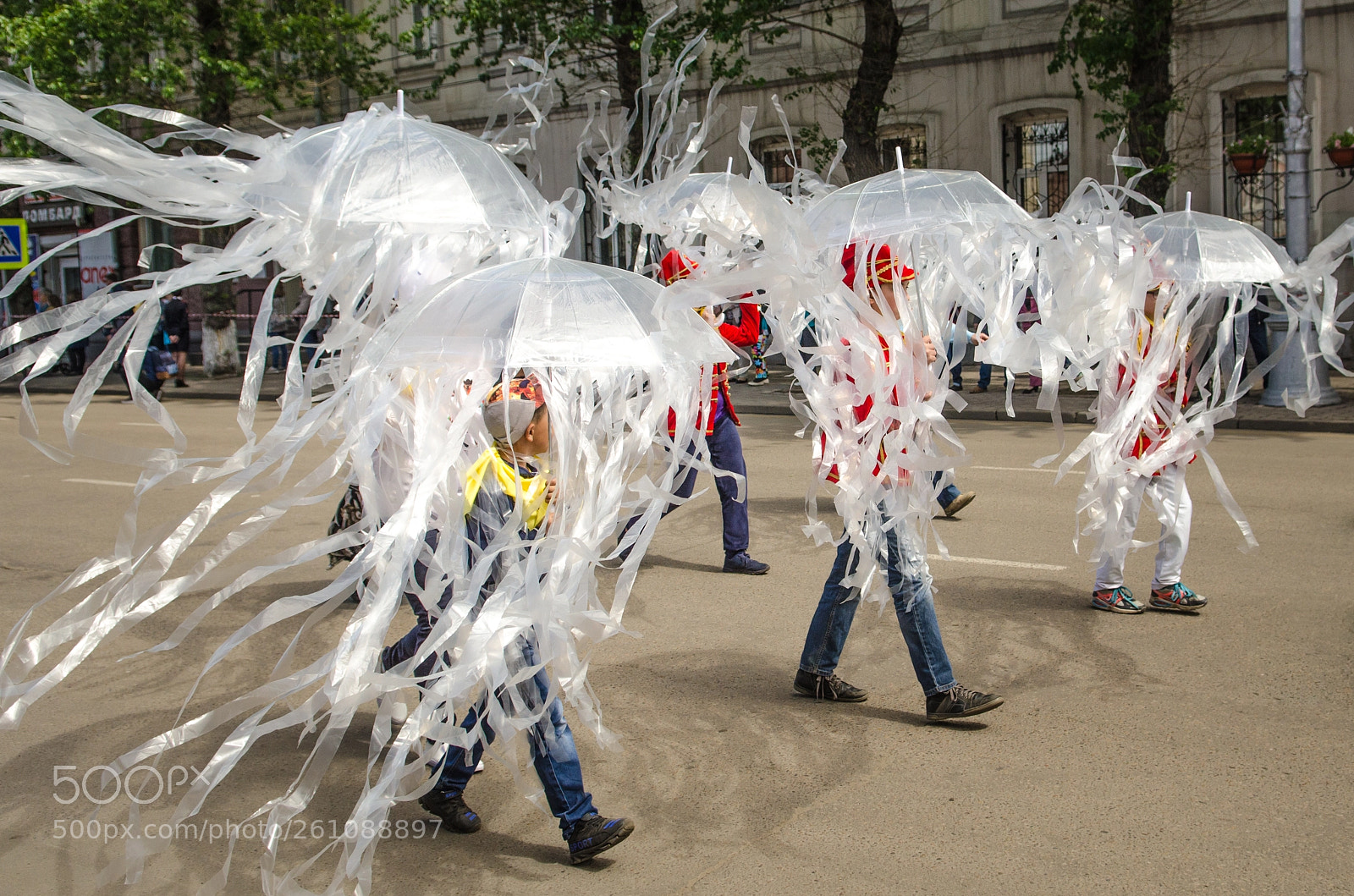 Nikon D7000 sample photo. Jellyfishes photography