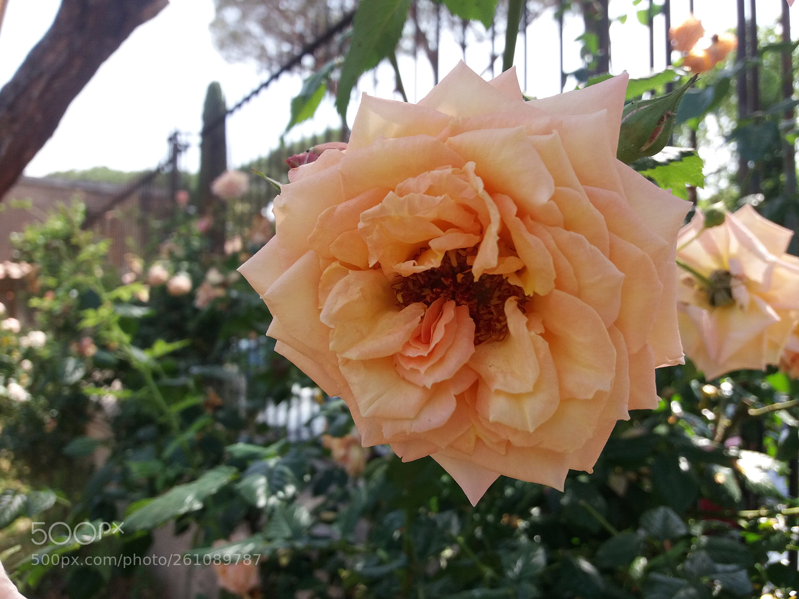Samsung Galaxy J5(2016) sample photo. Colori e pensieri... photography