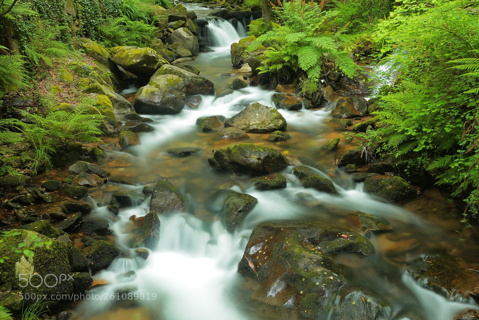 Canon EOS 6D sample photo. Untitled photography