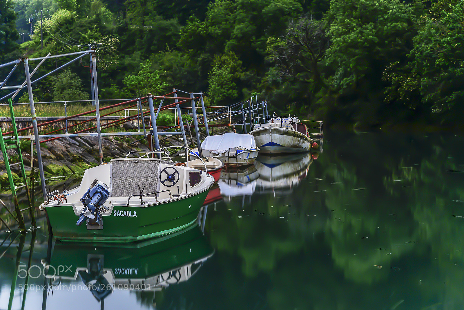 Nikon D610 sample photo. Botes photography
