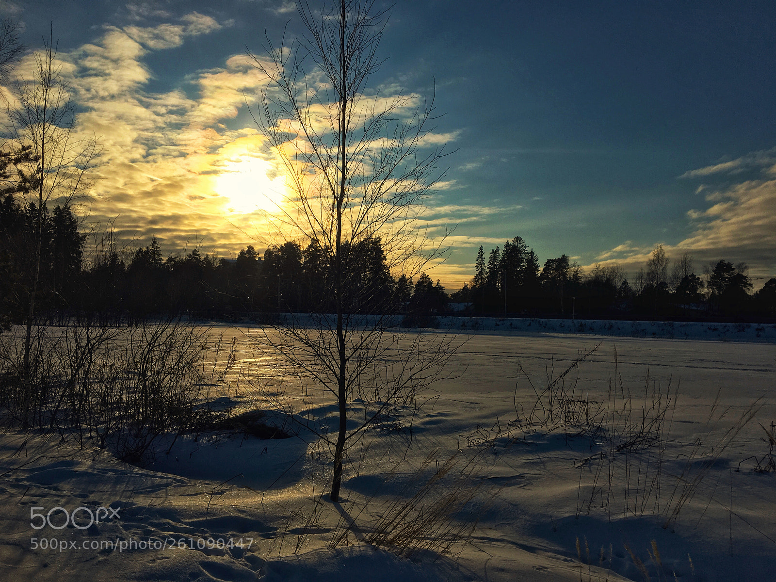 Apple iPhone 6s sample photo. Wintersun photography