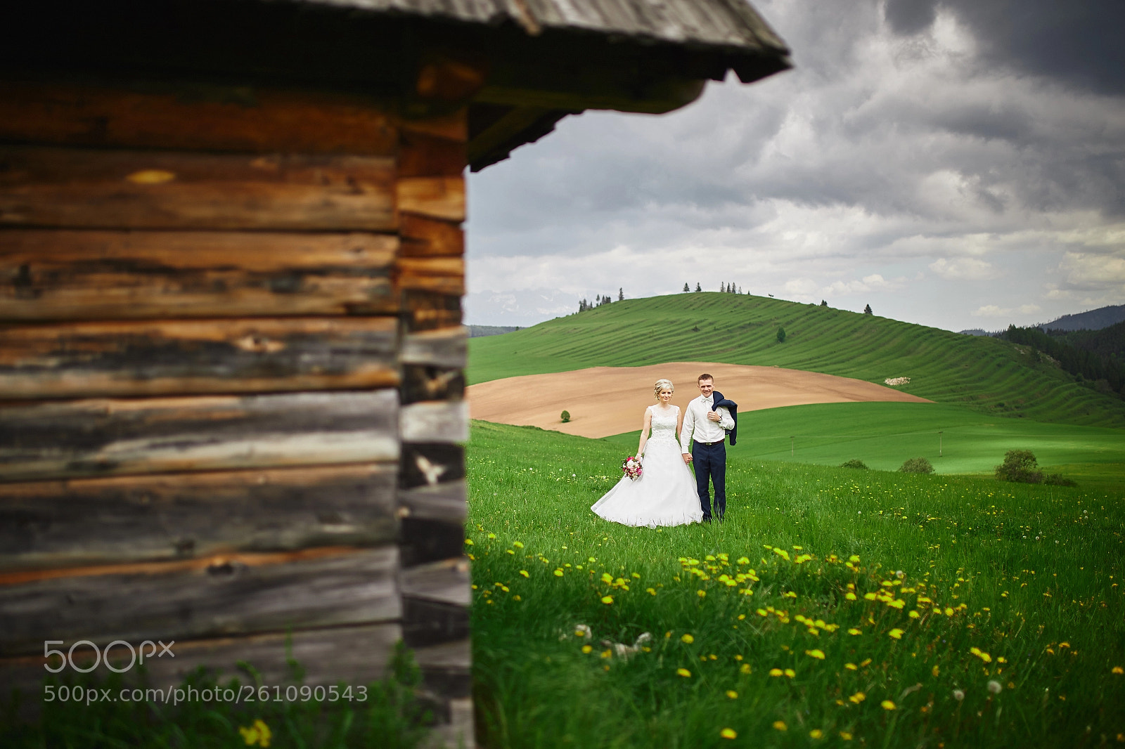 Canon EOS 6D sample photo. Walk together photography