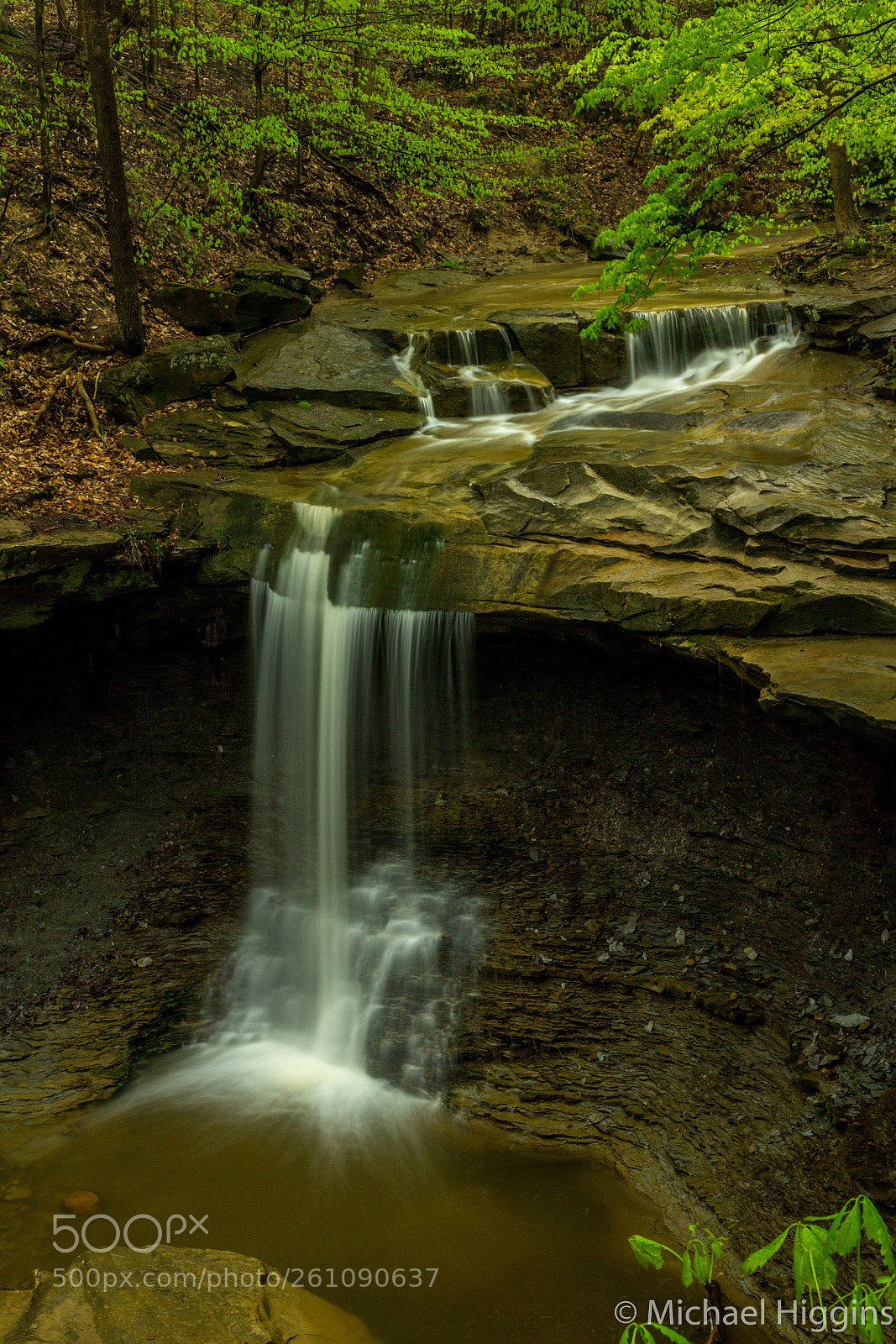 Canon EOS 1200D (EOS Rebel T5 / EOS Kiss X70 / EOS Hi) sample photo. Blue hen falls photography