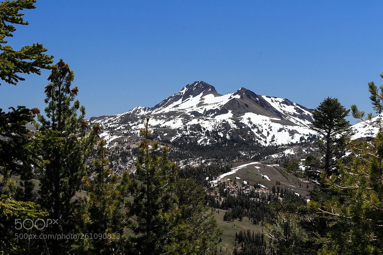 Canon EOS 7D Mark II sample photo. Round top from west photography