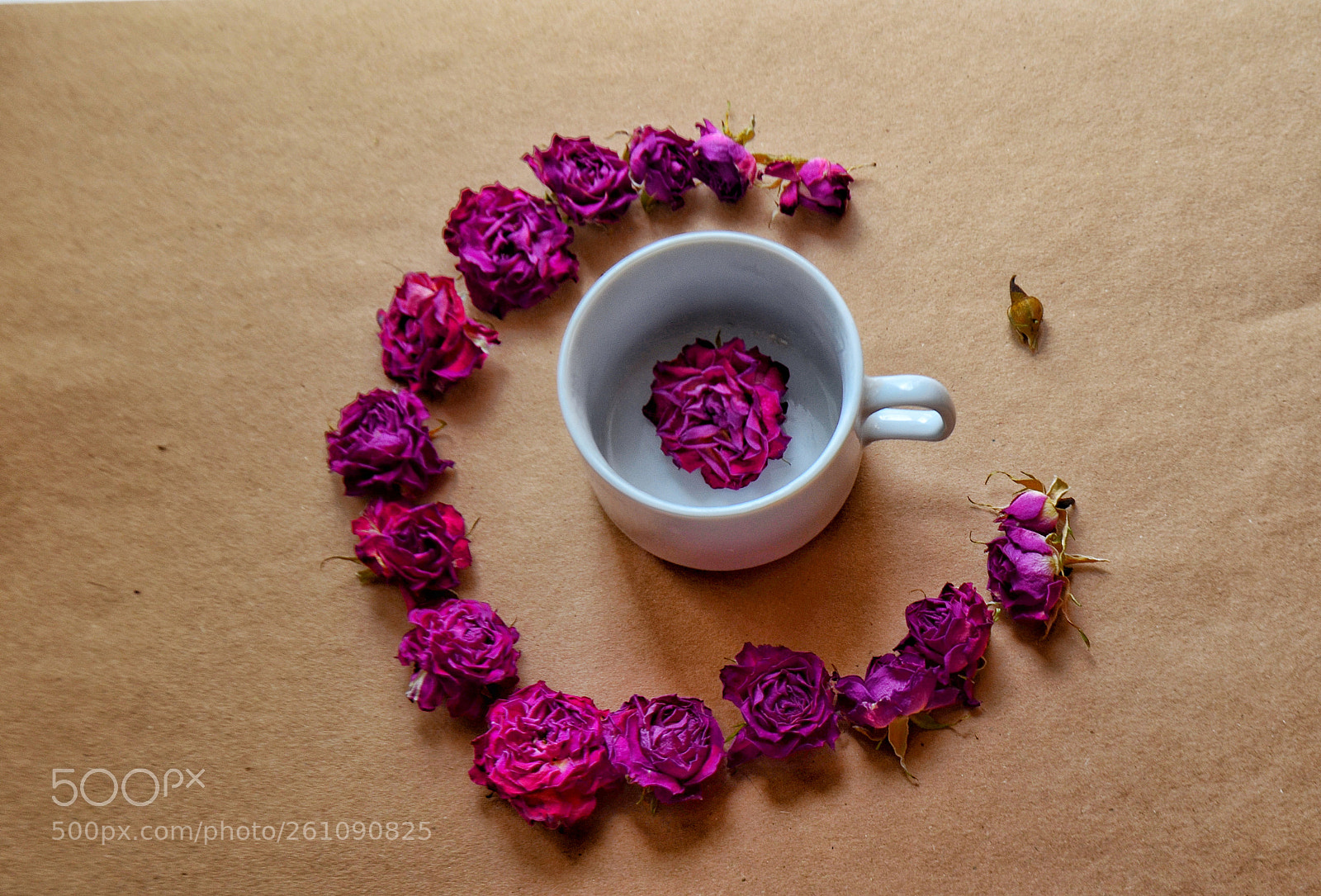 Nikon D5100 sample photo. Flatlay dry roses and photography