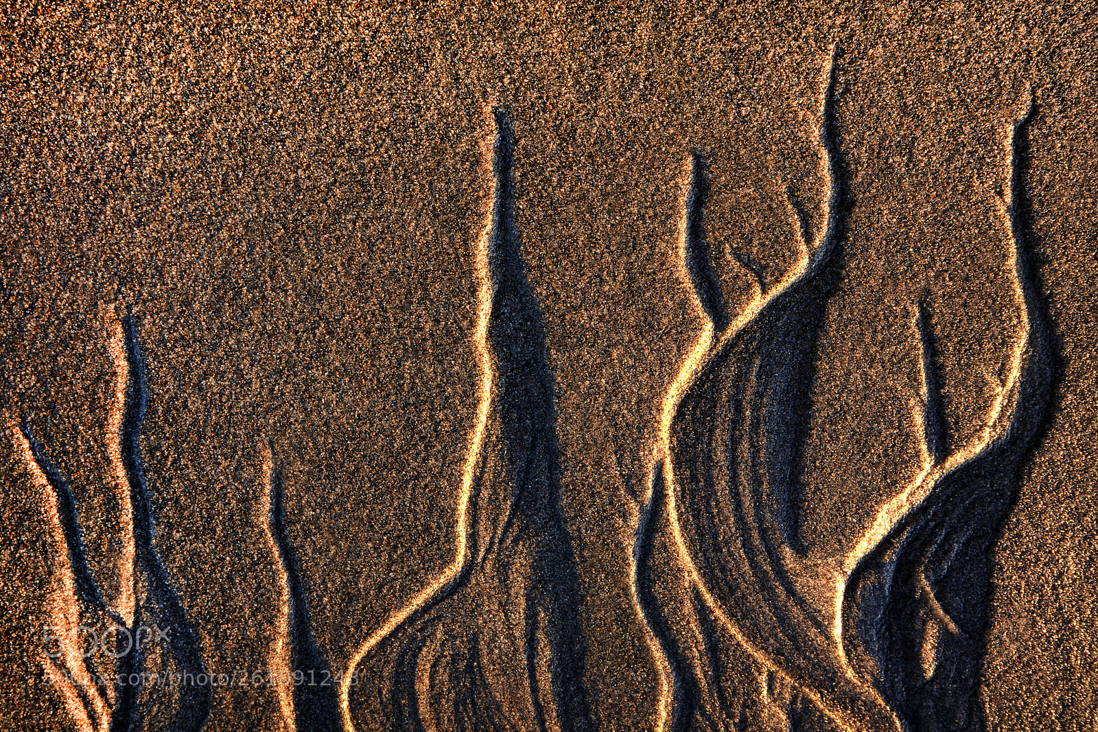 Canon EOS 5D Mark IV sample photo. Sand curves photography