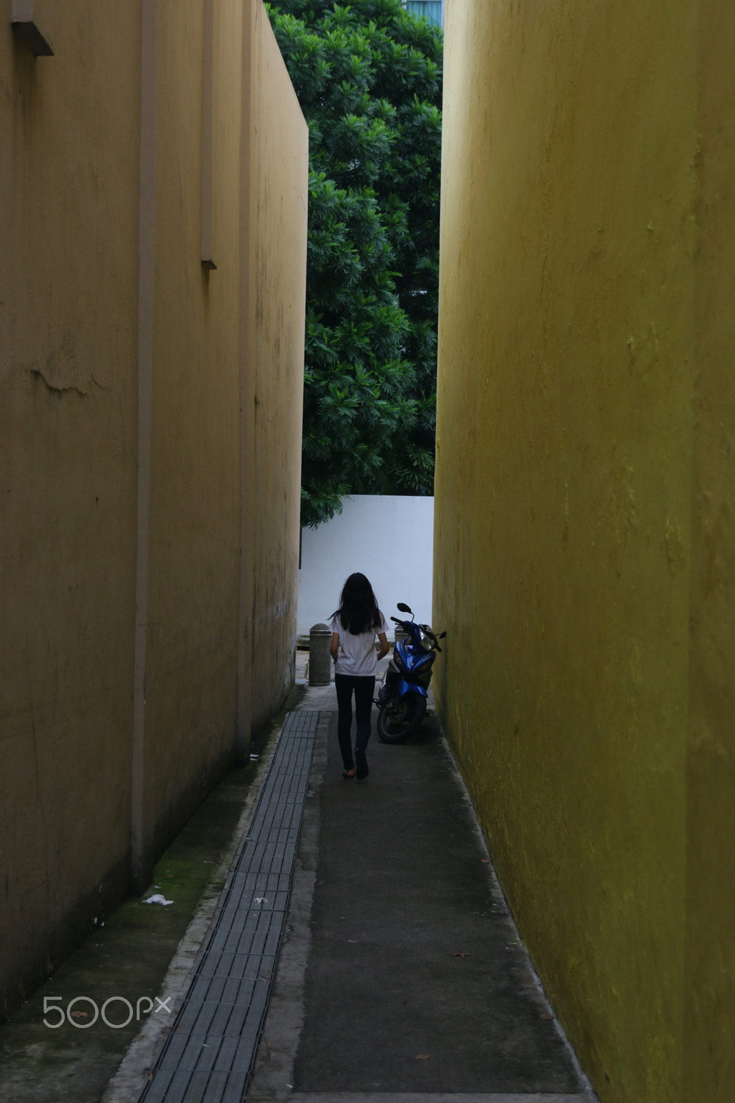 Canon EF 24-70mm F2.8L II USM sample photo. All alone photography