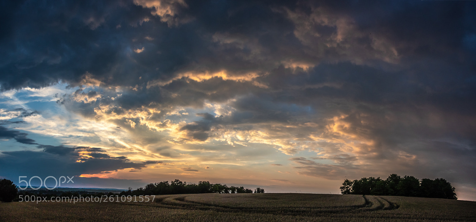 Canon EOS 760D (EOS Rebel T6s / EOS 8000D) sample photo. Sunset over farm field photography