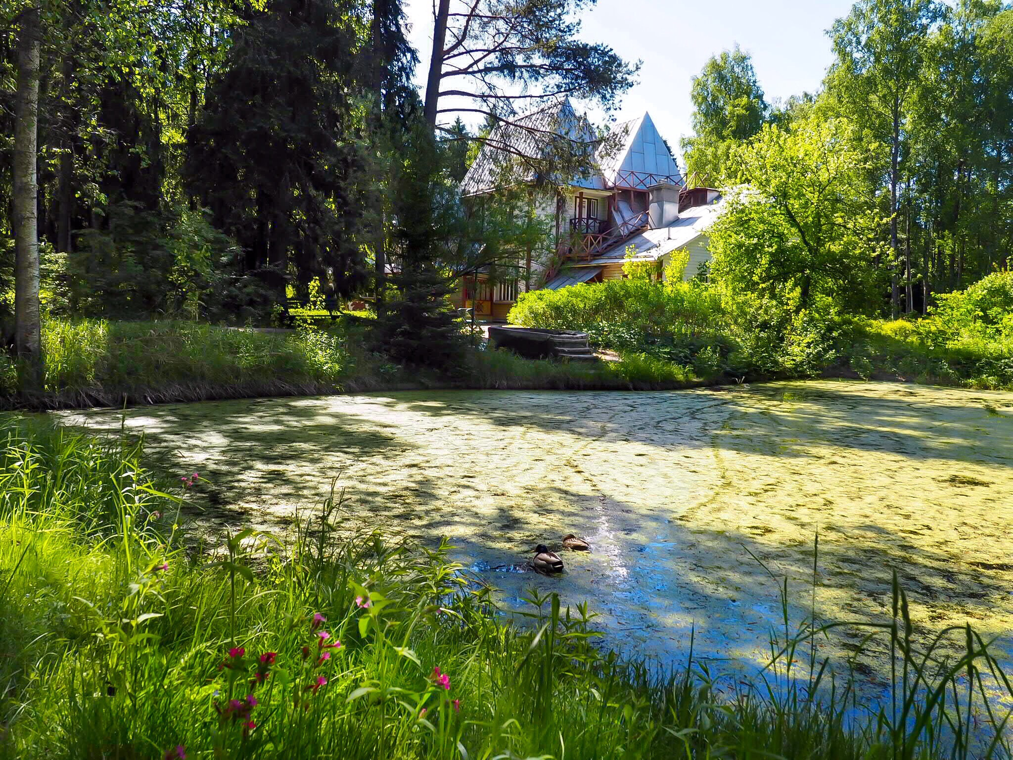 Olympus PEN E-PL7 sample photo. Museum-estate of ilya repin "penates" photography