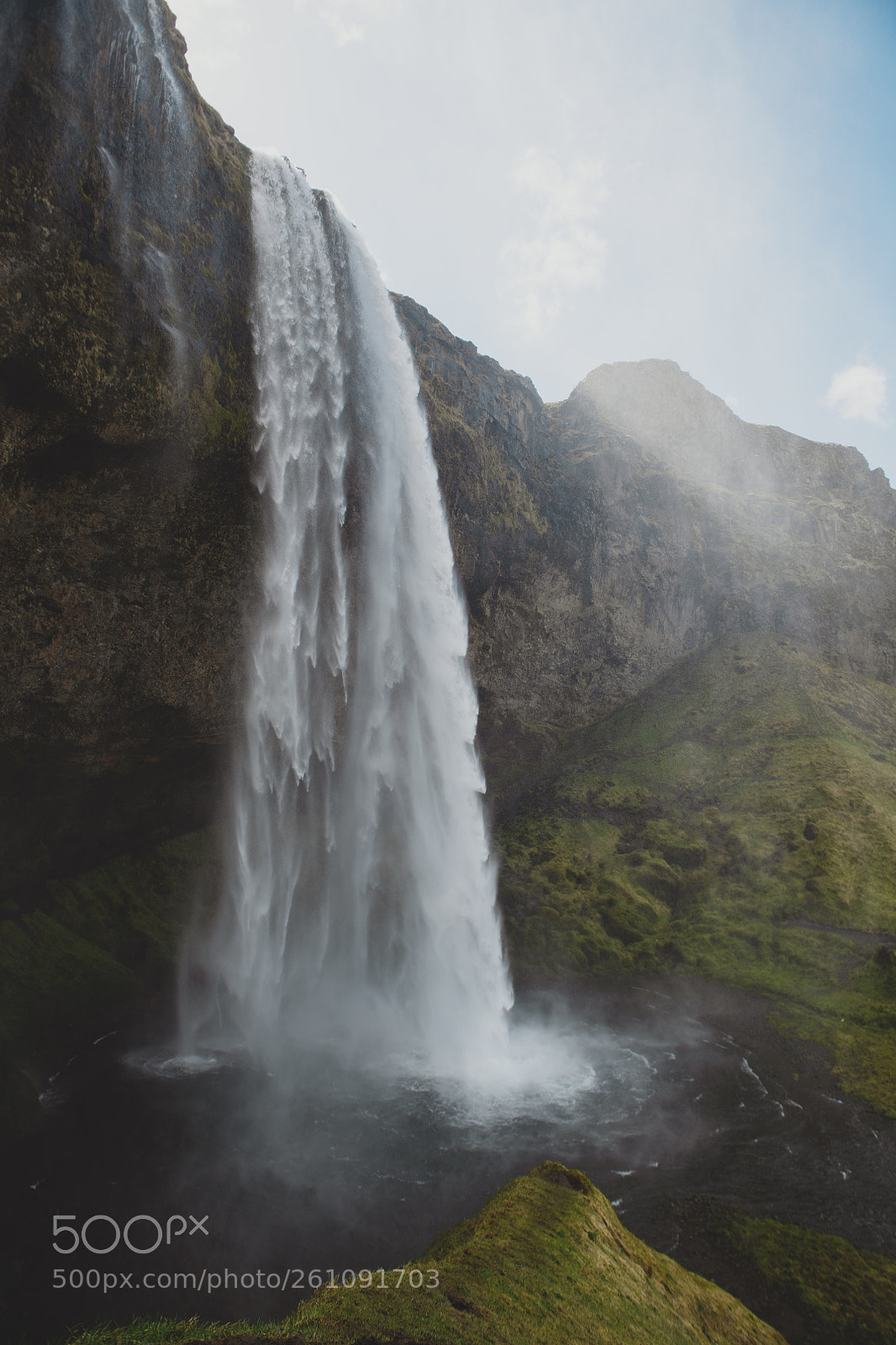 Nikon D850 sample photo. Hear the roar. photography