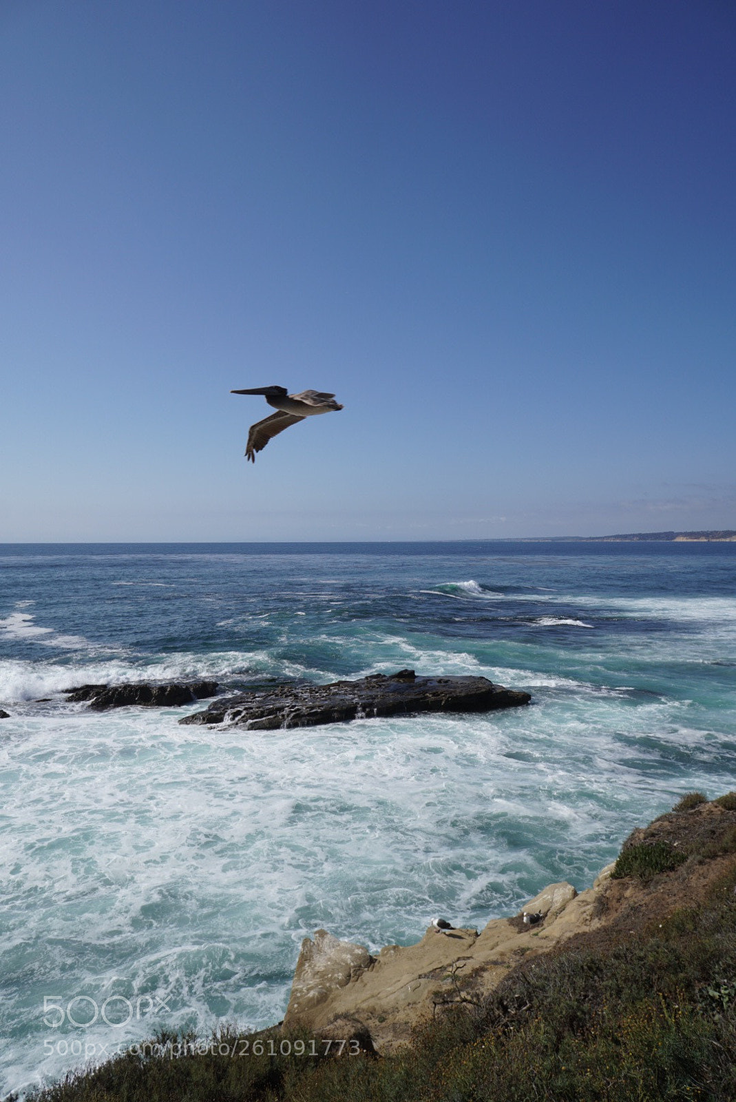 Sony a6500 sample photo. San diego, la jolla photography