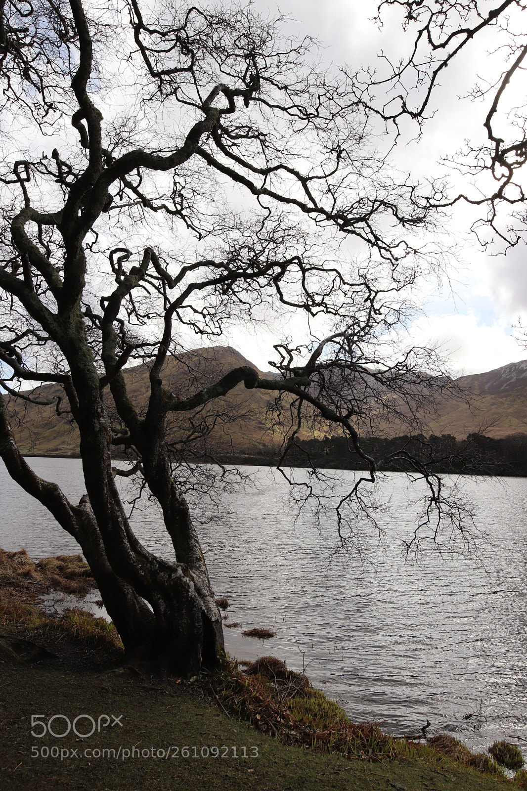 Canon EOS 6D Mark II sample photo. Connemara - ireland photography
