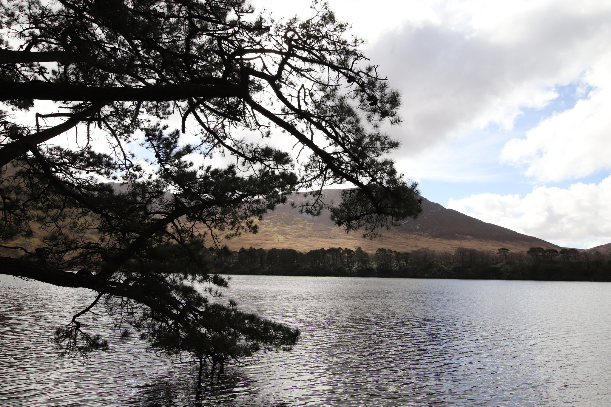 Sigma 24mm F1.4 DG HSM Art sample photo. Connemara - ireland photography