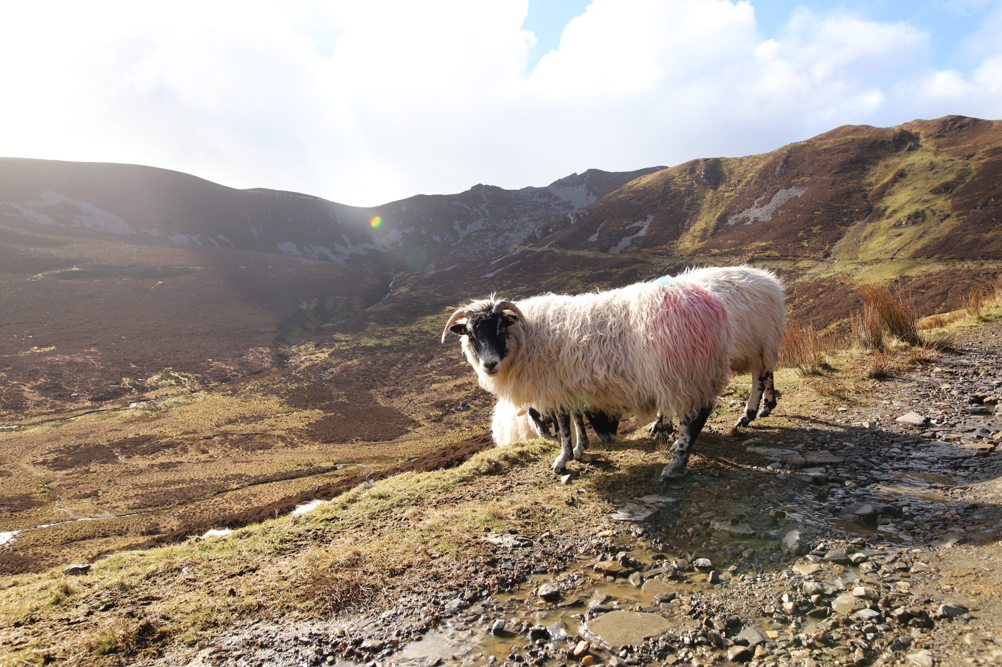 Sigma 24mm F1.4 DG HSM Art sample photo. Slieve league - ireland photography