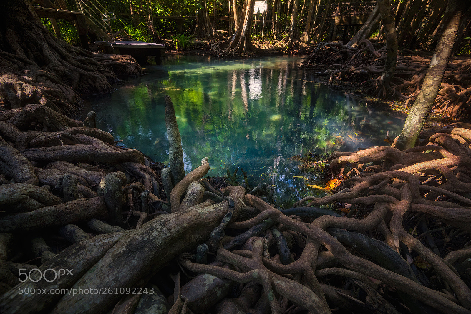 Nikon D810 sample photo. Tha pom khlong song photography