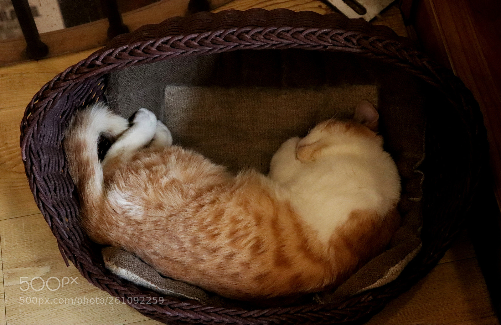 Canon EOS 77D (EOS 9000D / EOS 770D) sample photo. Untitled photography