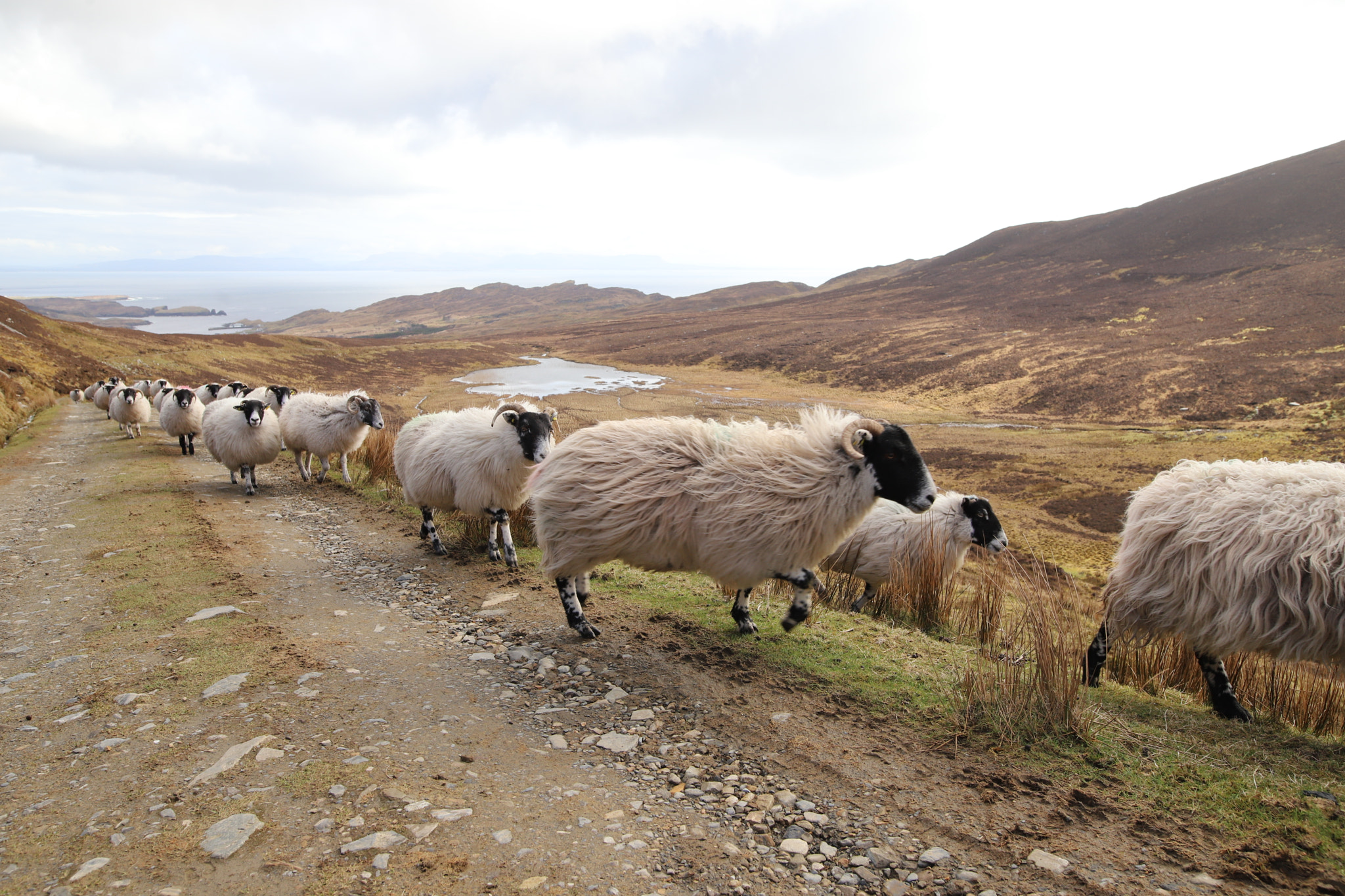 Canon EOS 6D Mark II sample photo. Slieve league - ireland photography