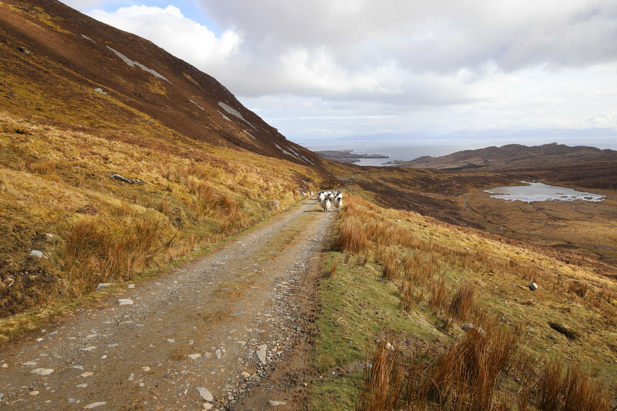 Canon EOS 6D Mark II sample photo. Slieve league - ireland photography