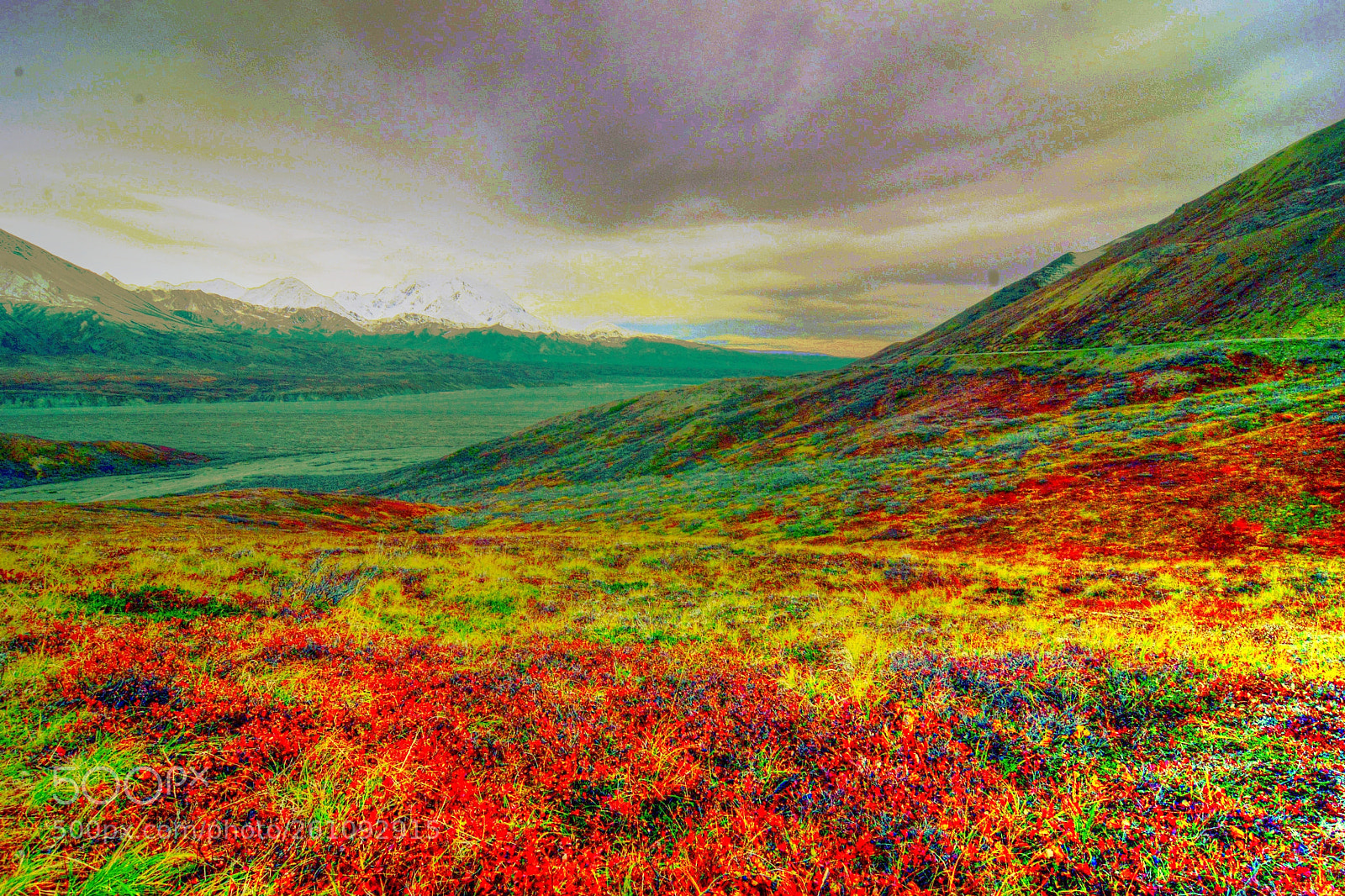 Nikon D610 sample photo. Alaskan colors photography