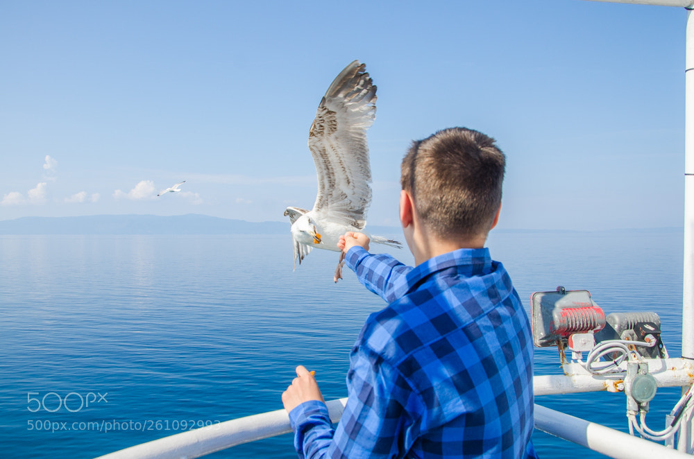 Nikon D7000 sample photo. Чайки. Паром на Святую гору Афон photography