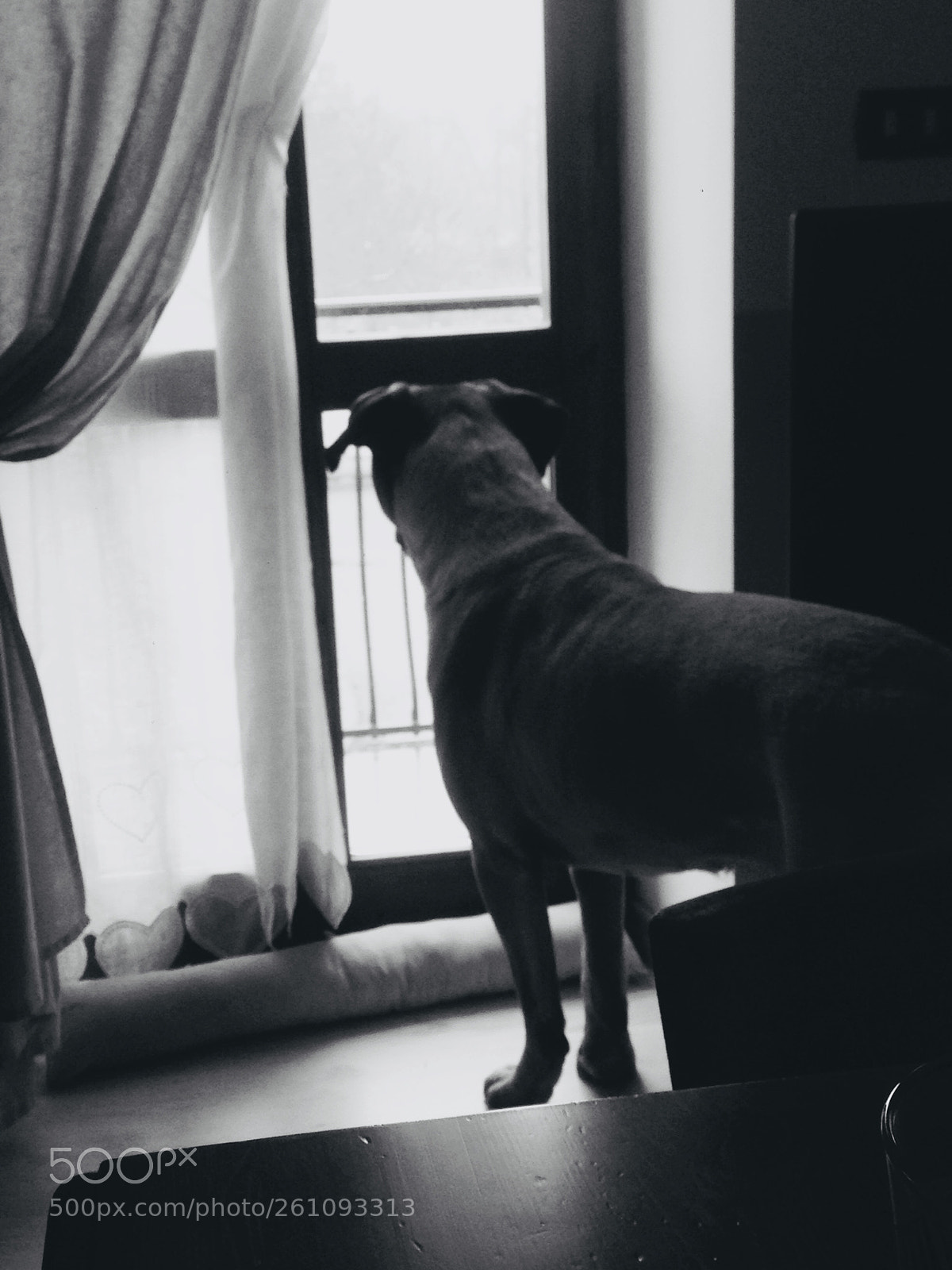 Apple iPhone 5 sample photo. Attimi photography
