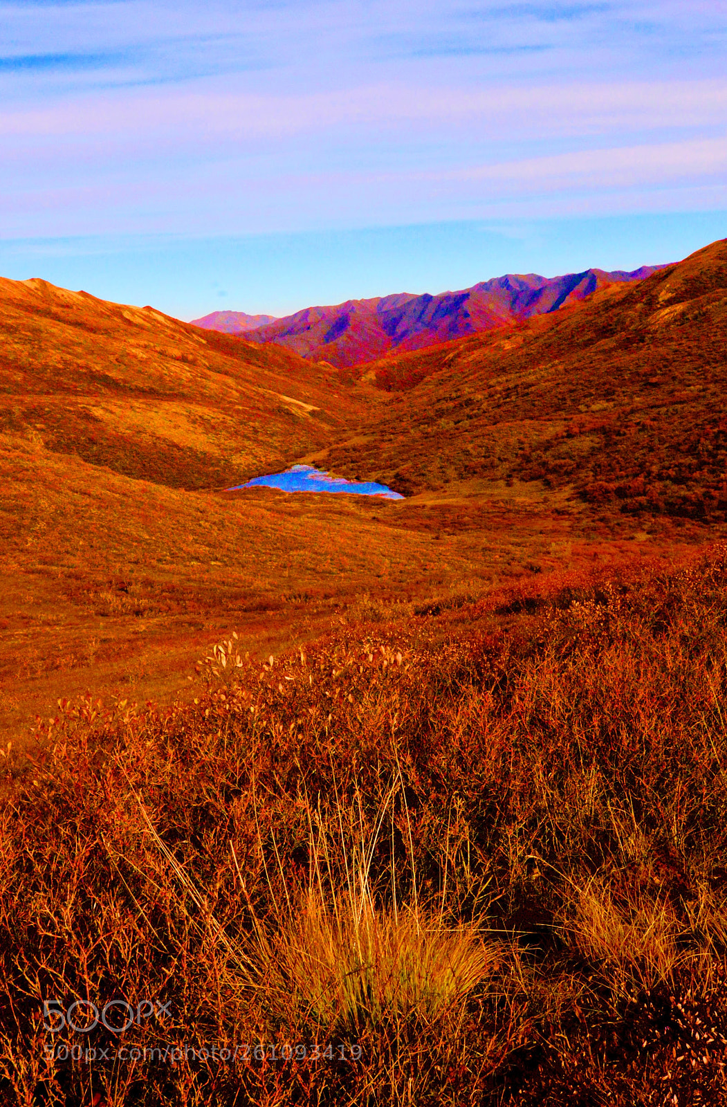 Nikon D610 sample photo. Alaskan fall photography