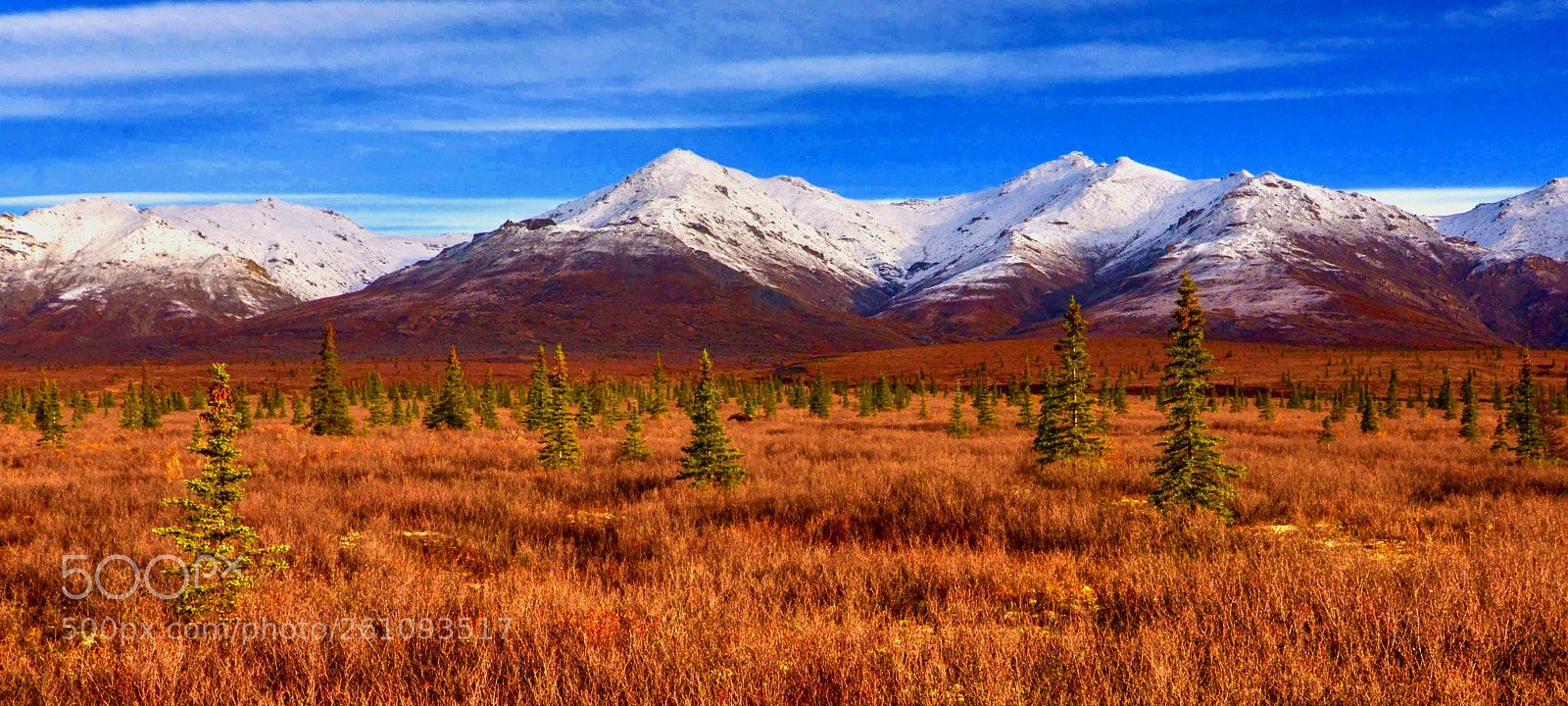 Nikon D610 sample photo. Alaska scene photography