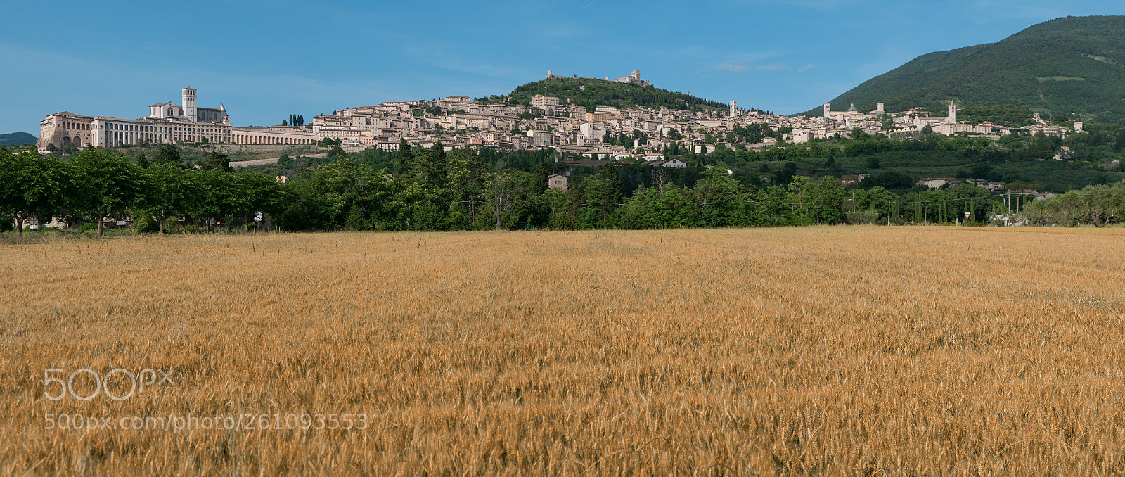 Panasonic Lumix DMC-LX100 sample photo. Assisi photography