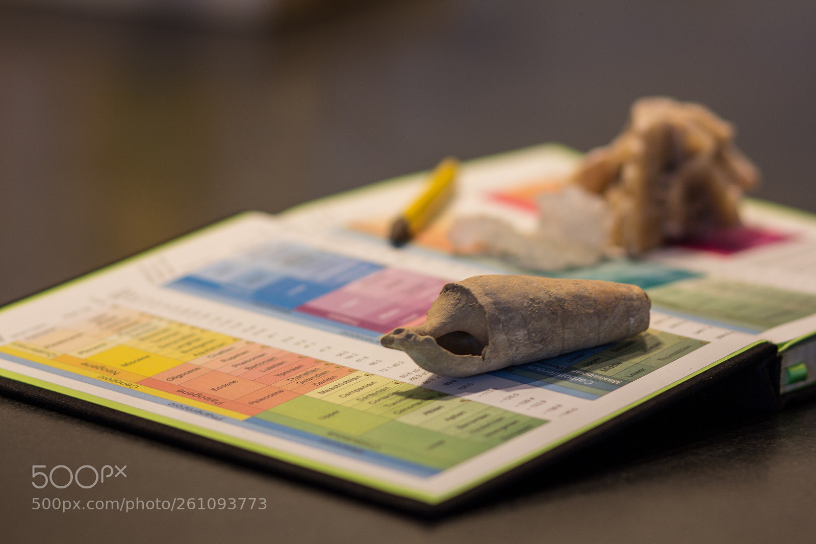 Canon EOS 60D sample photo. Fossils photography