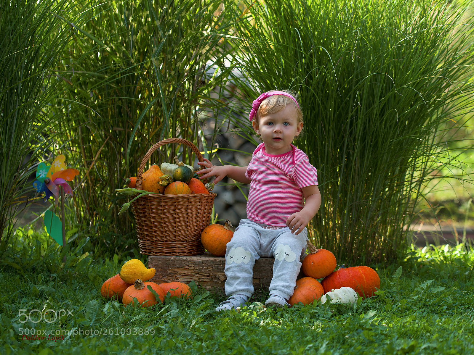 Nikon D750 sample photo. Baby girl photography