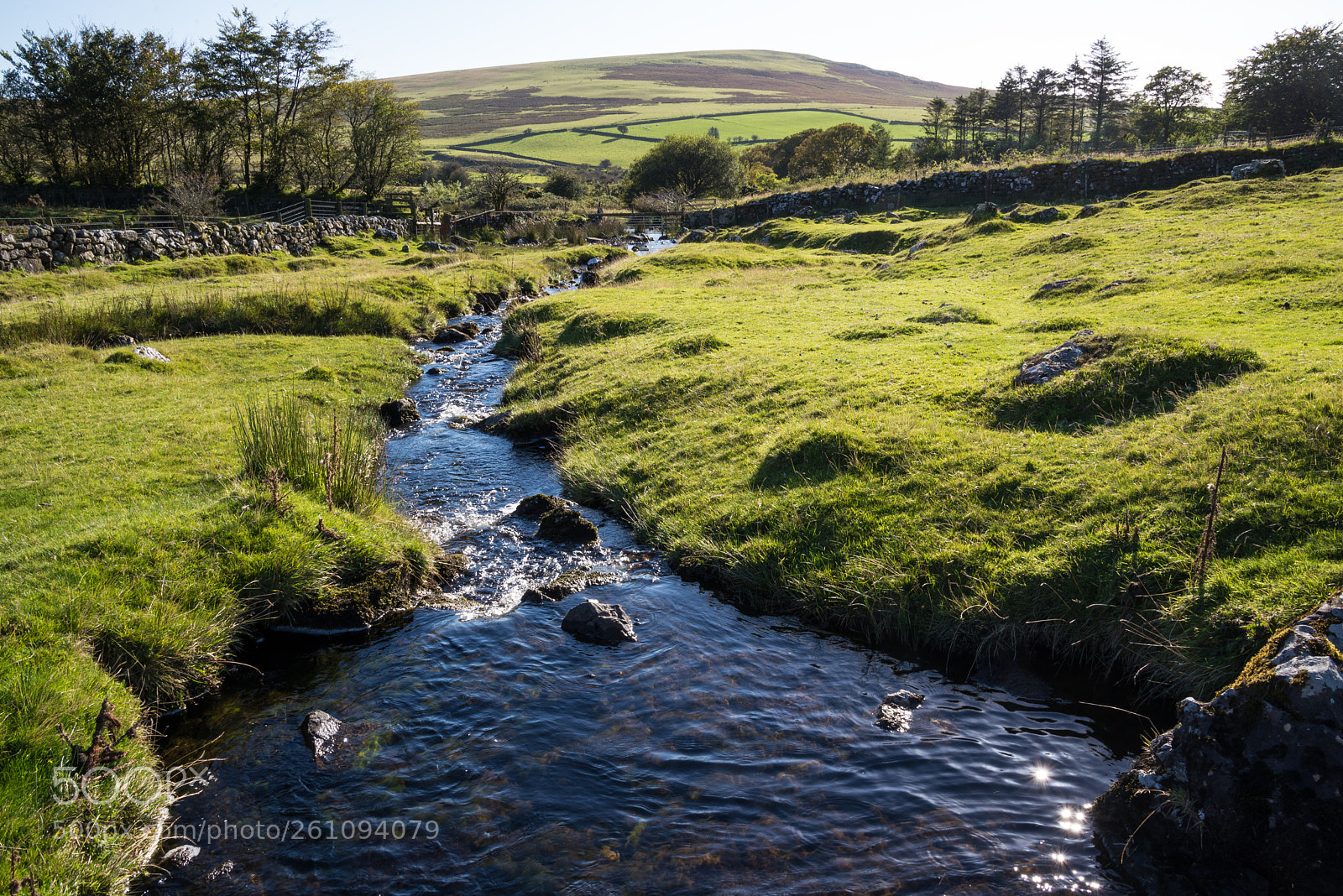Nikon D610 sample photo. Colly brook, wedlake, dartmoor photography