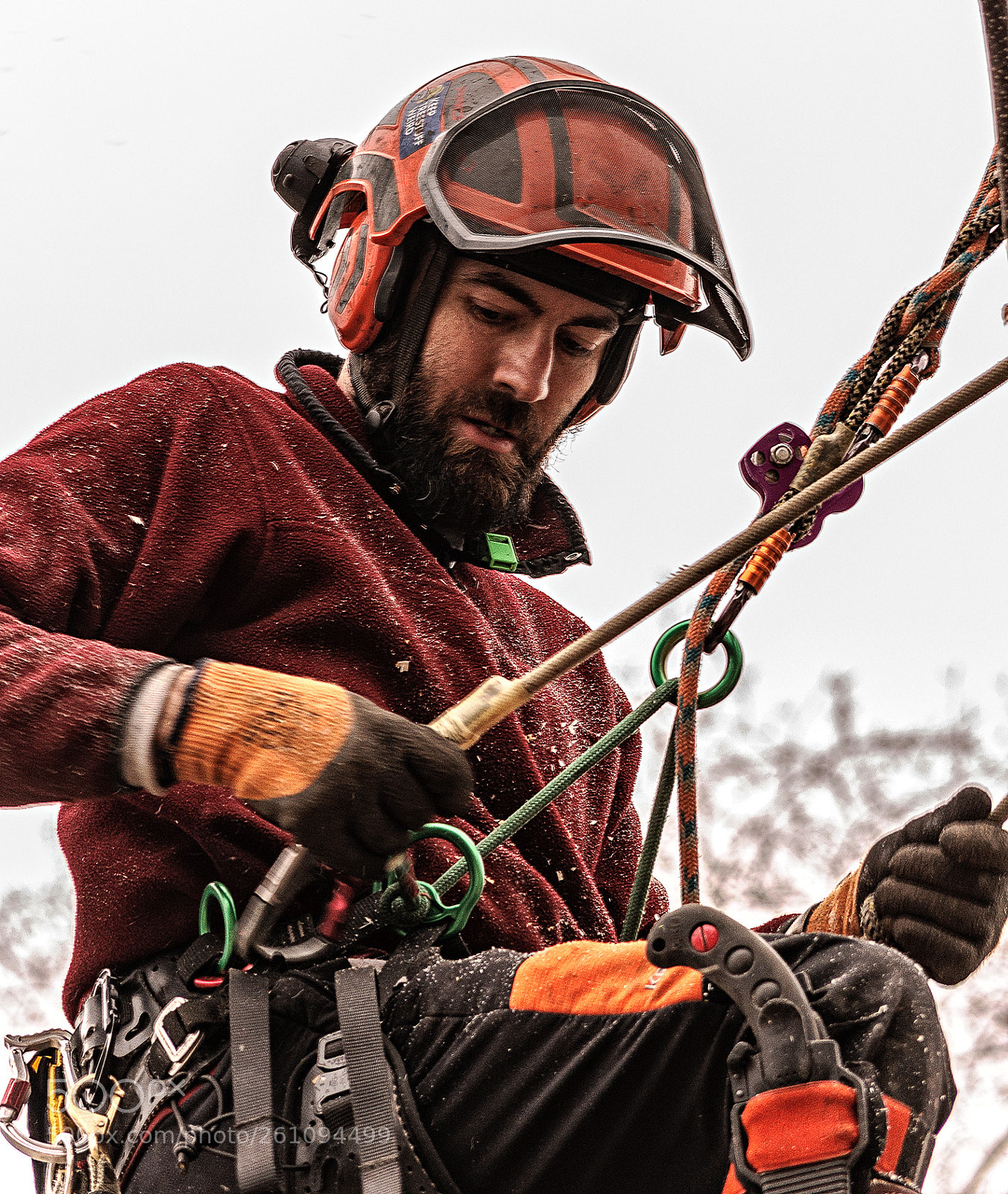 Nikon D90 sample photo. Tree surgeon photography