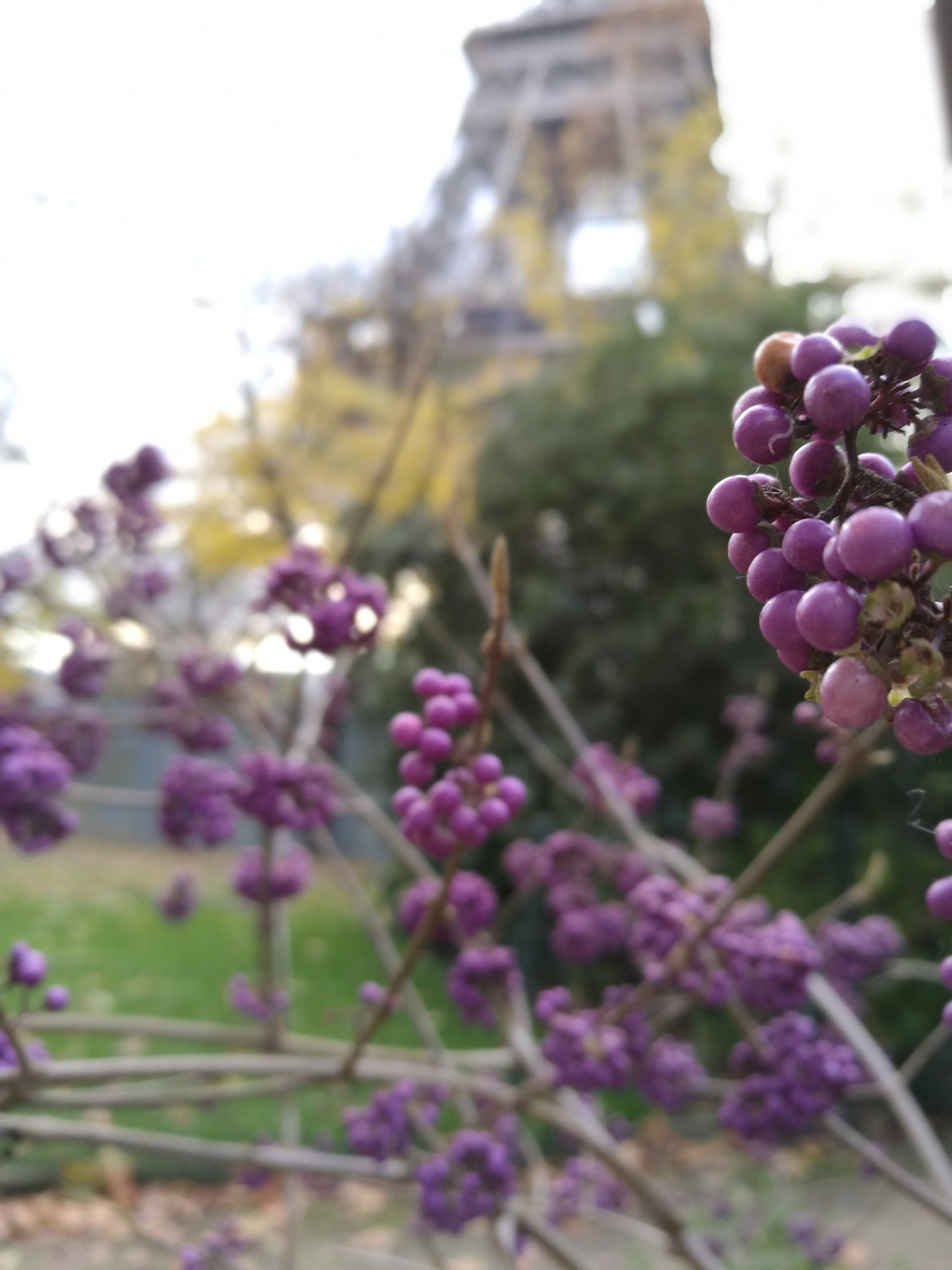 HUAWEI P9 Plus sample photo. From my point of view photography