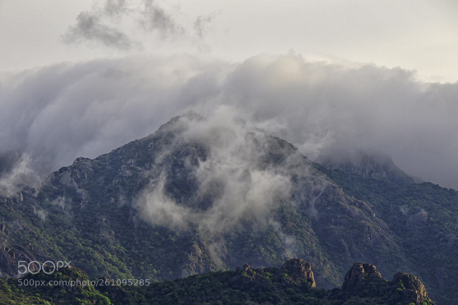 Canon EOS 7D Mark II sample photo. Monsoon approaching... photography