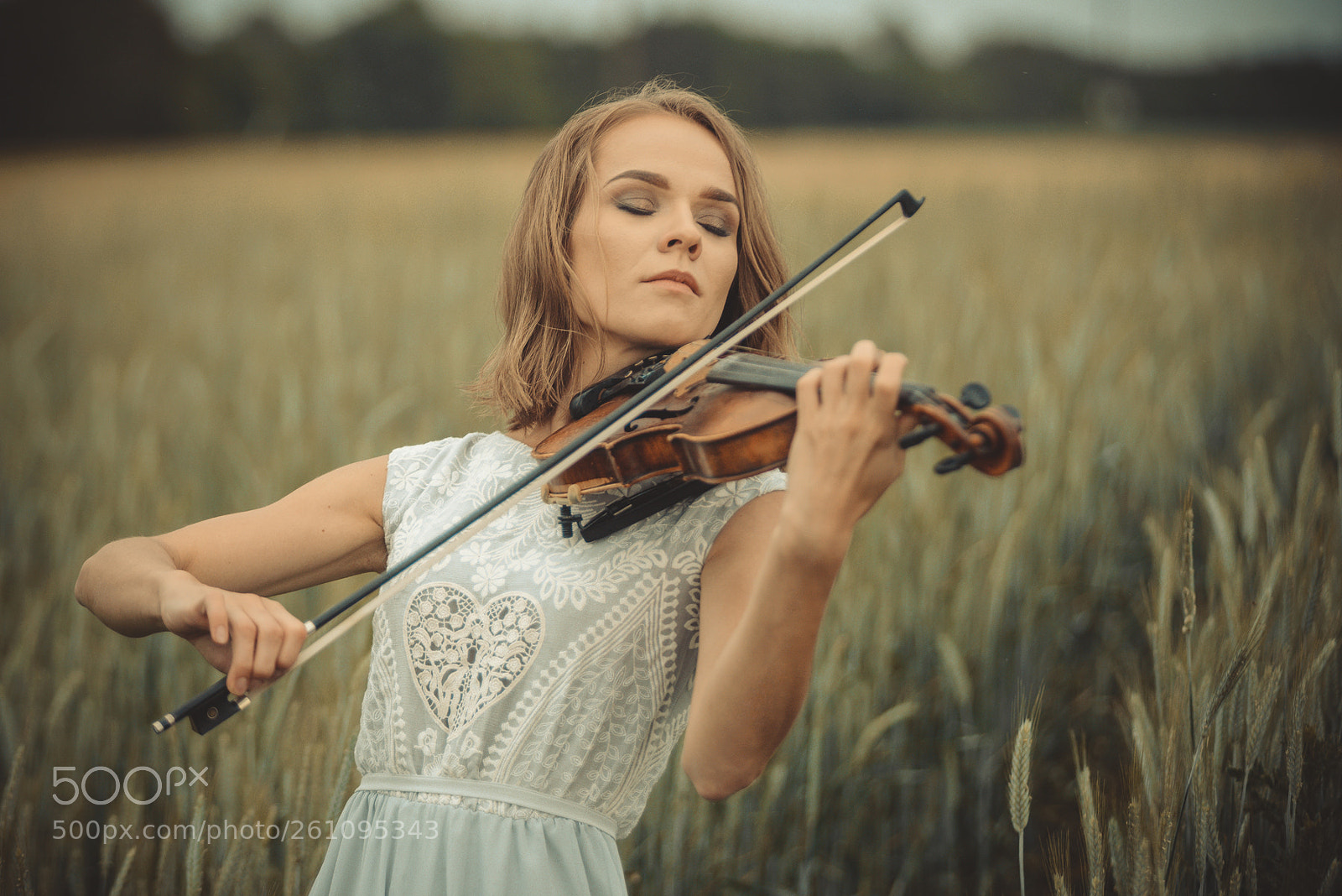 Nikon D610 sample photo. Melody for a rye photography