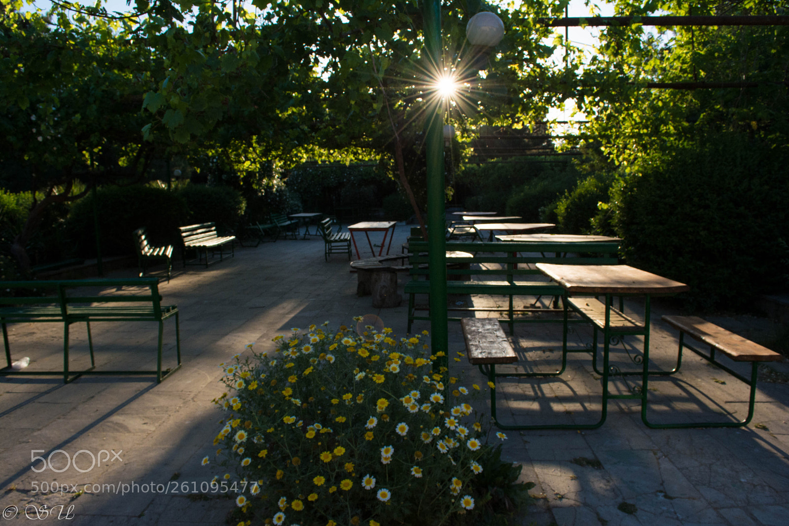 Nikon D5200 sample photo. Sun photography