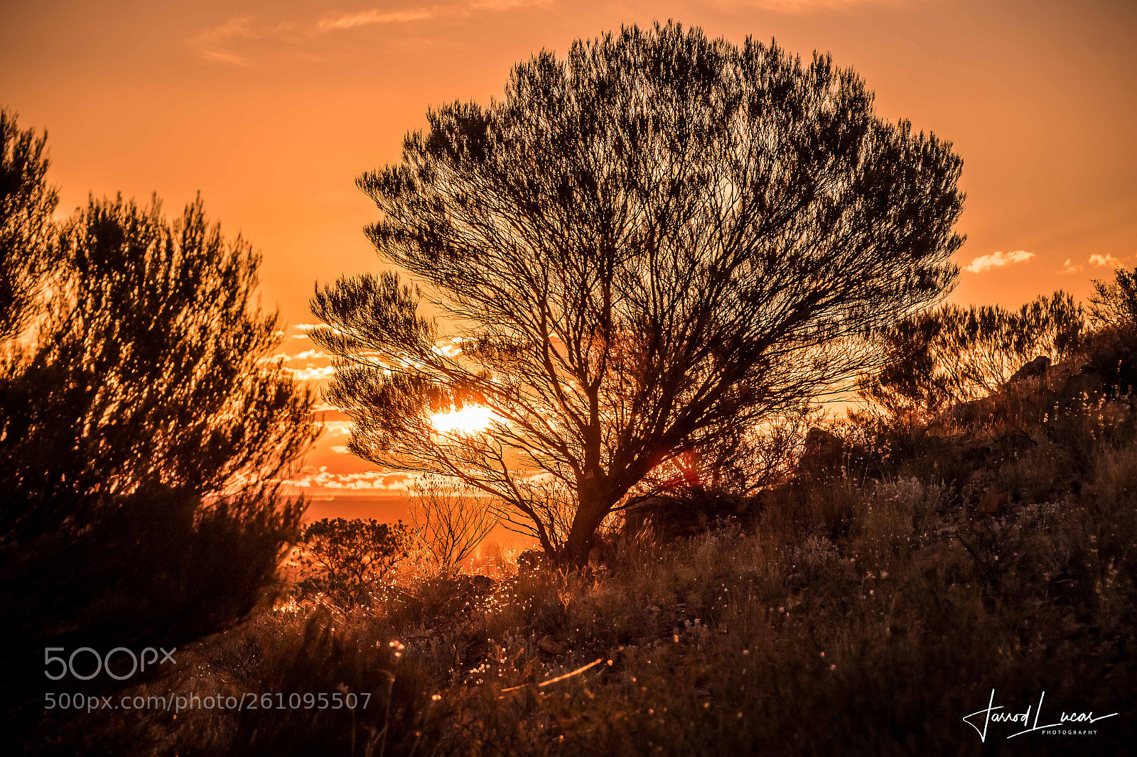 Canon EOS 7D Mark II sample photo. Mt leonora sunsets photography