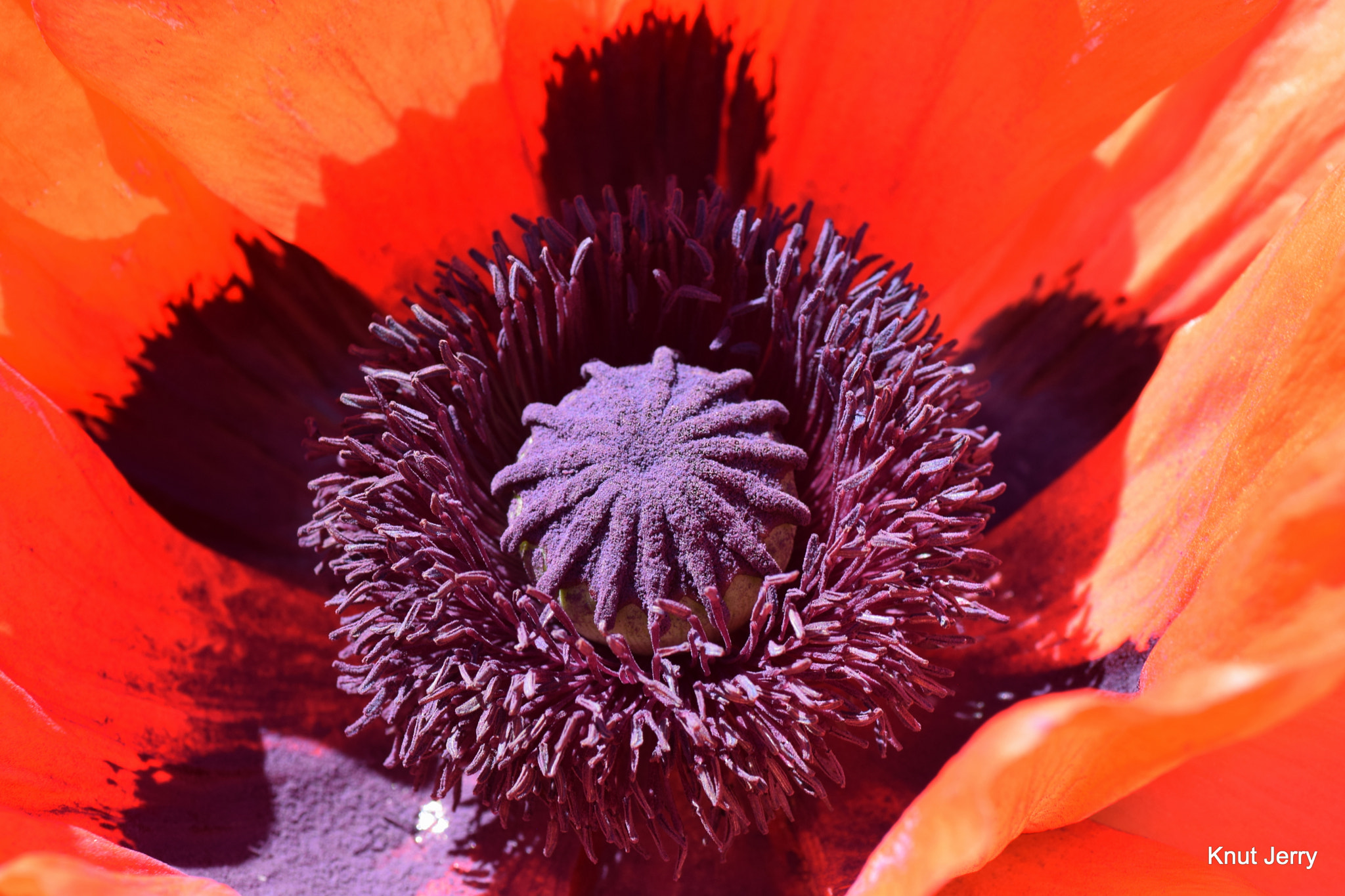 Nikon D5300 sample photo. Dsc photography