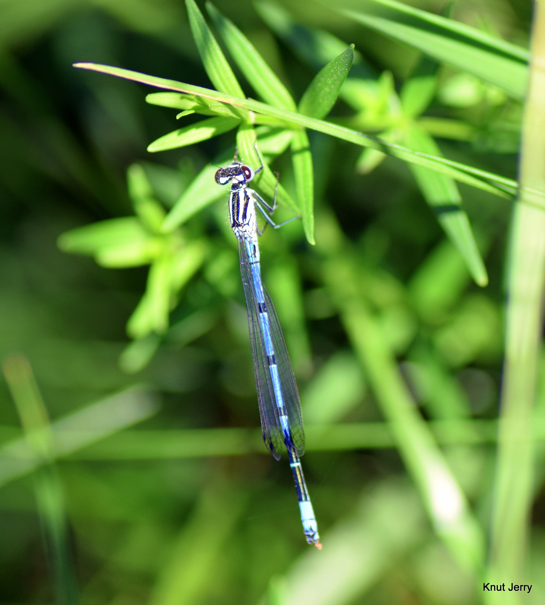 Nikon D5300 sample photo. Dsc photography
