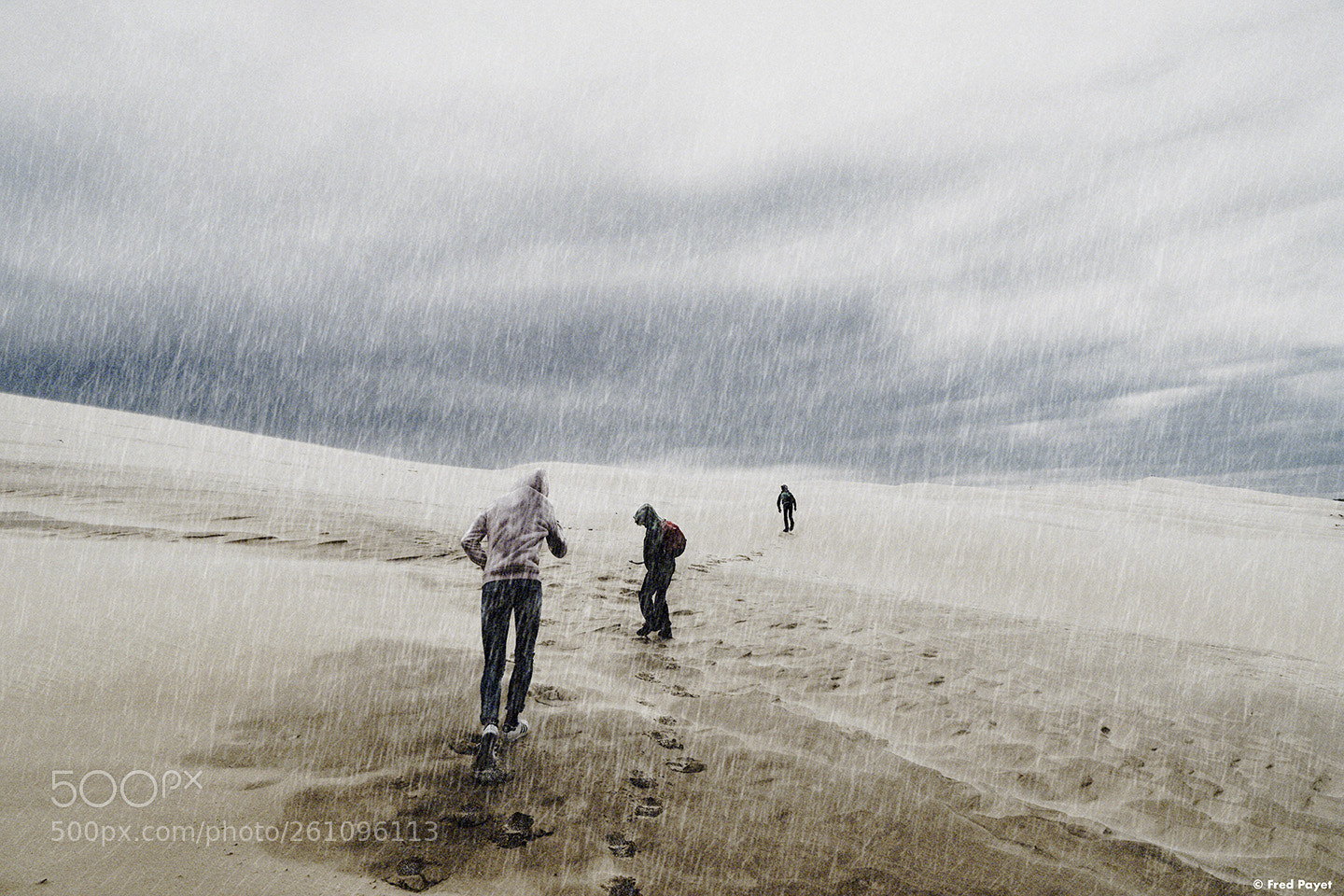 Sony a7 II sample photo. D luge la dune photography
