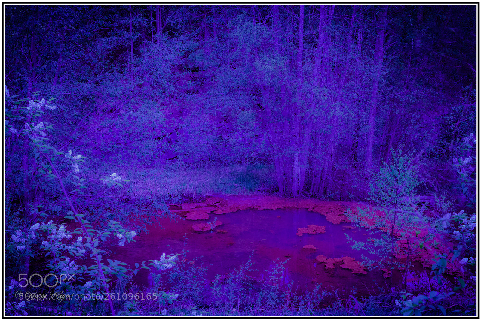 Canon EOS 5D Mark II sample photo. A little red lake photography