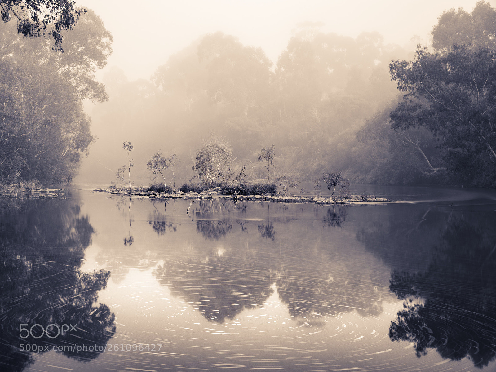 Canon EOS 5D Mark IV sample photo. Fog over yarra river photography